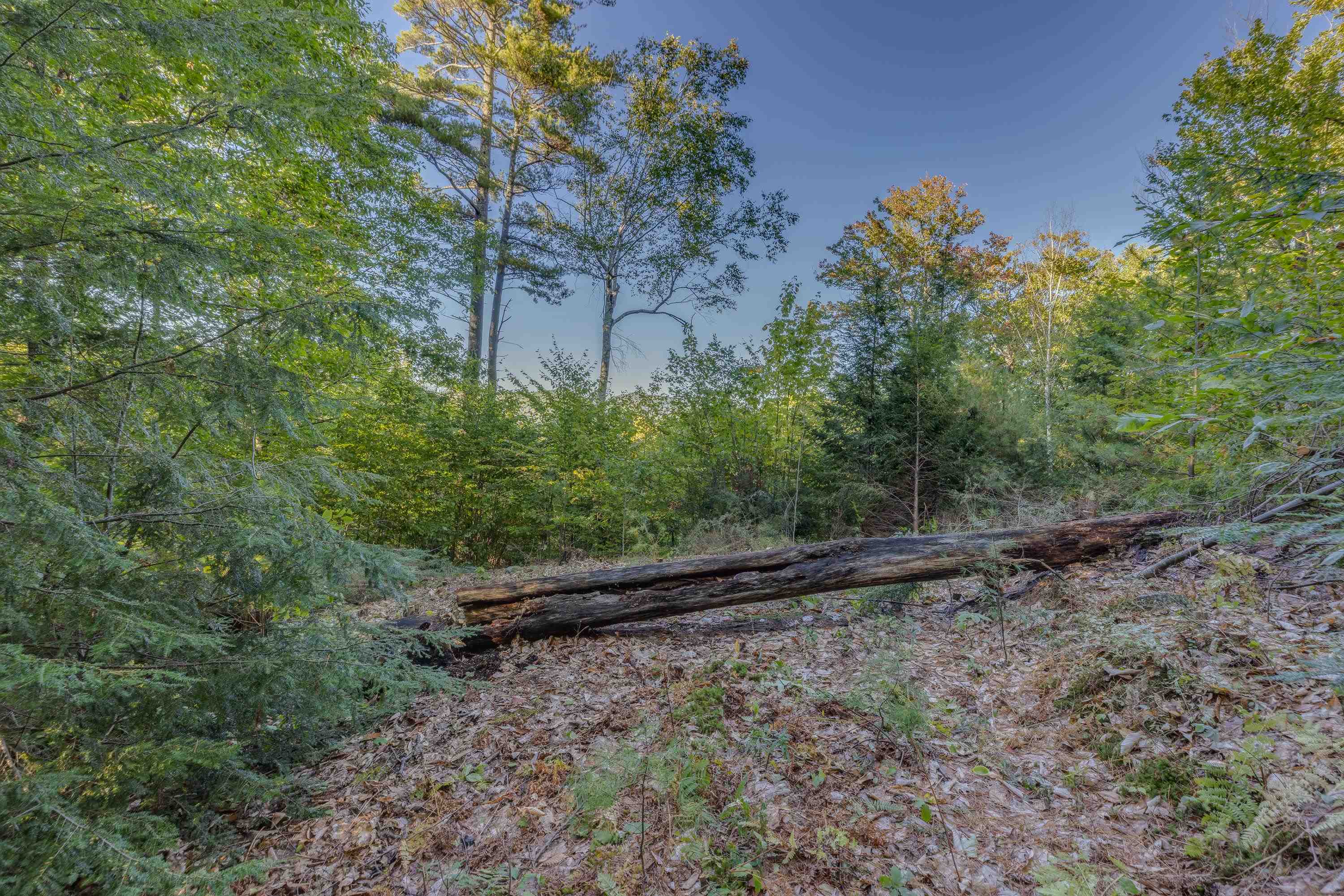 00 Perkins Ln, Holderness, NH 03245