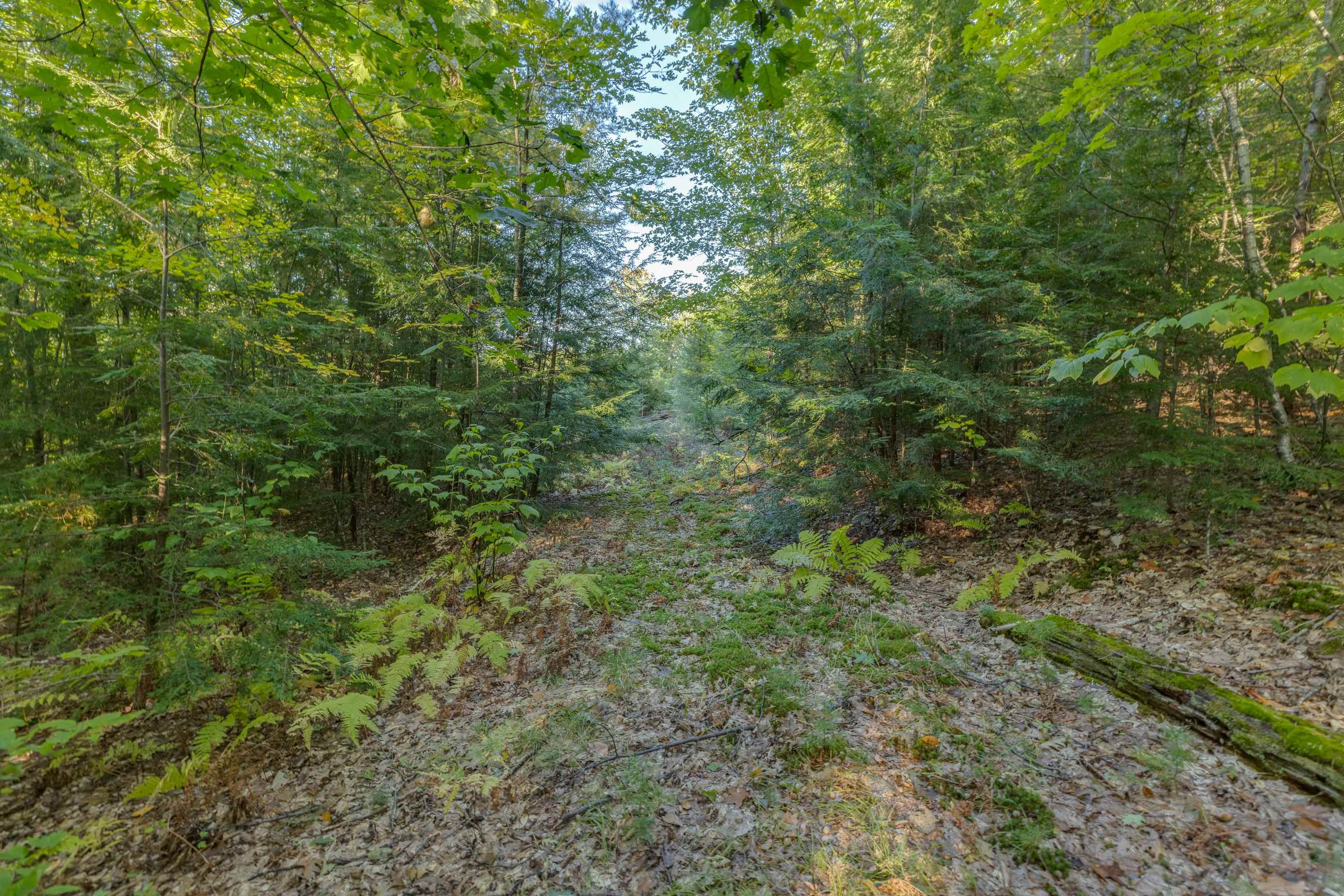 00 Perkins Ln, Holderness, NH 03245