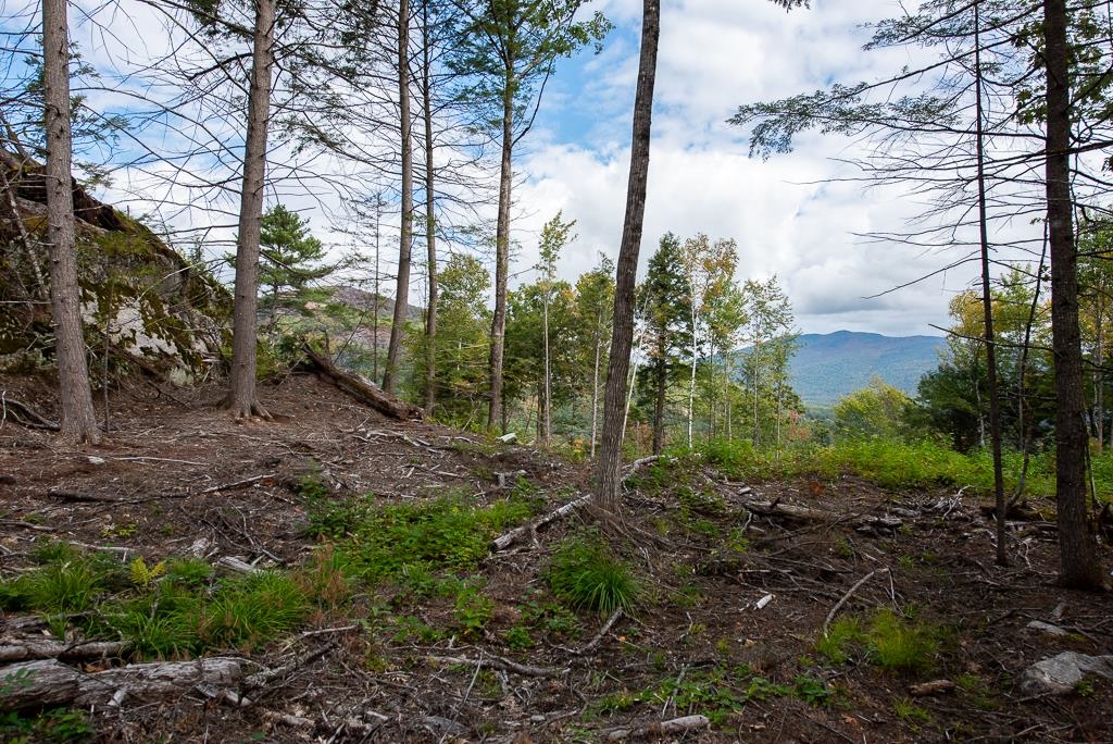 12-12-10-8 Jacob Hall Farm Rd, Rumney, NH 03266