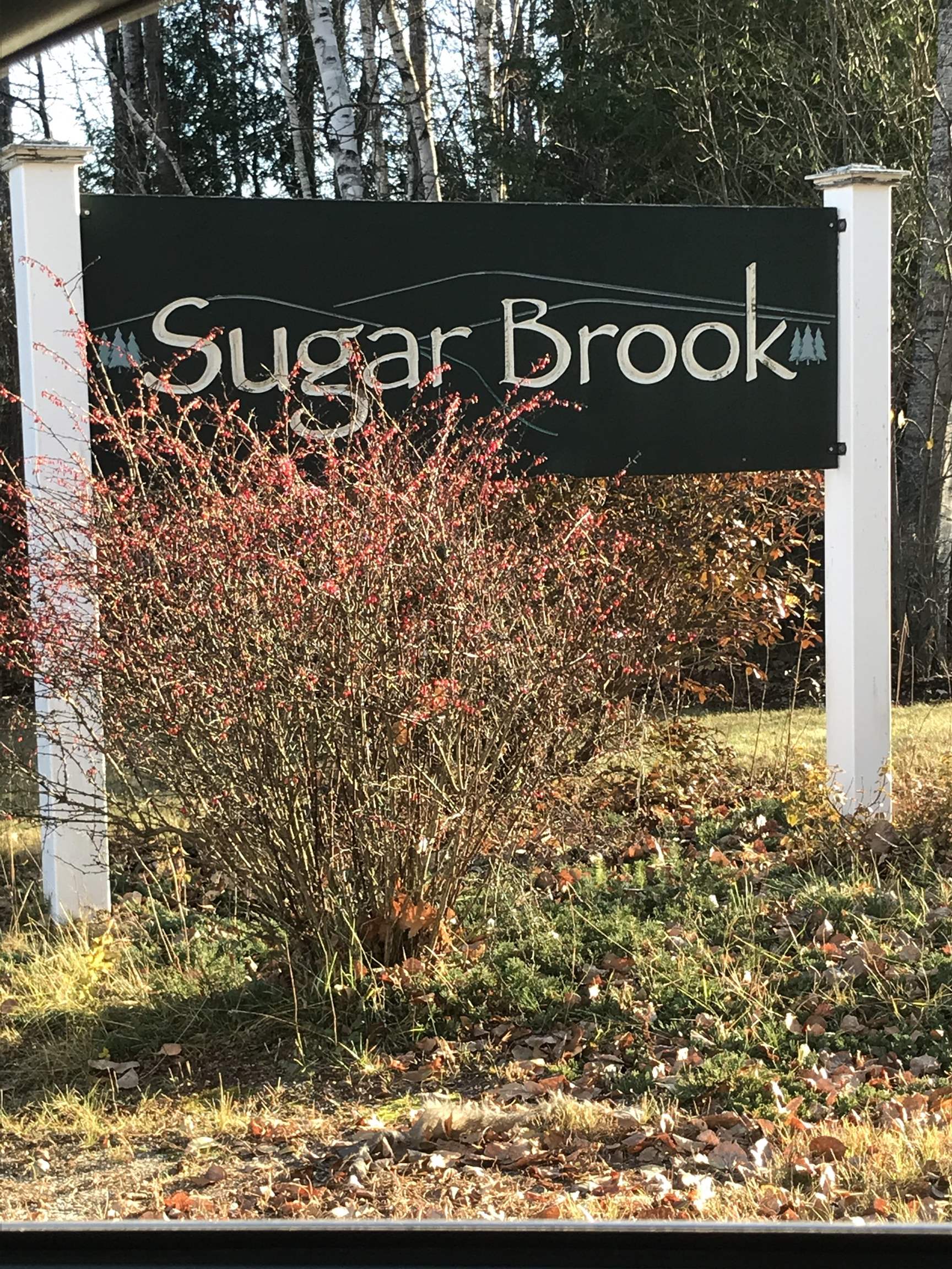 NEWPORT NH&nbsp;Land / Acres for sale