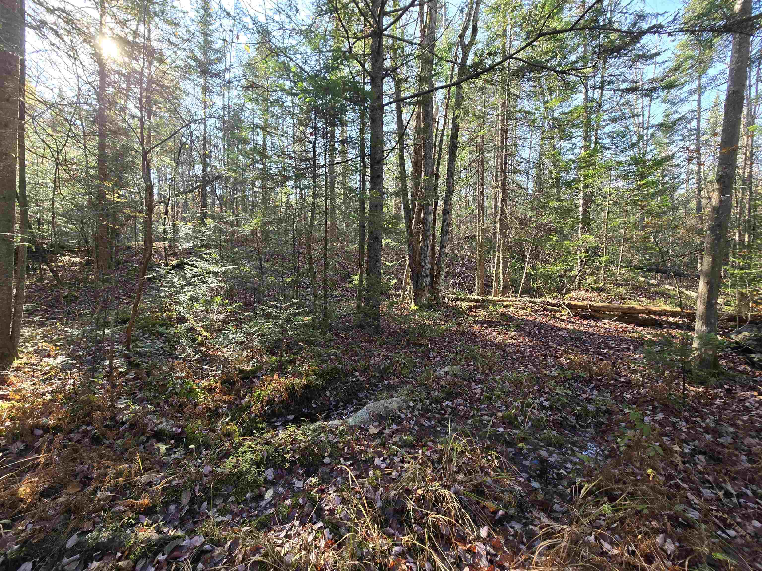 Lot 3 Chipper Ln, Milan, NH 03588