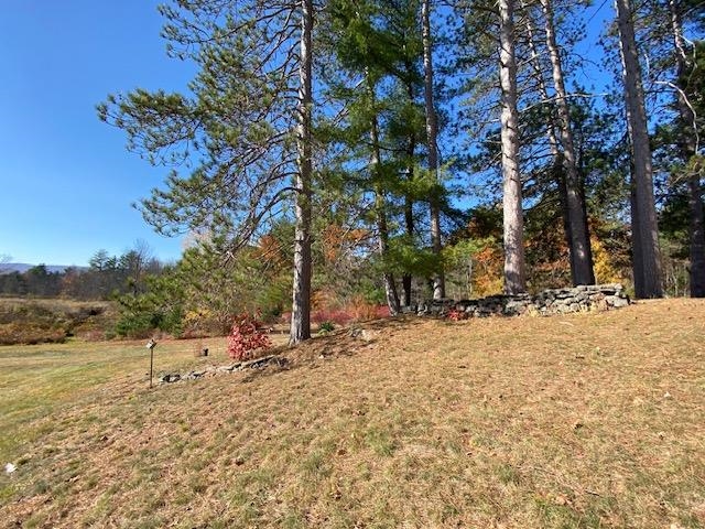 Now this is sweet 22370123