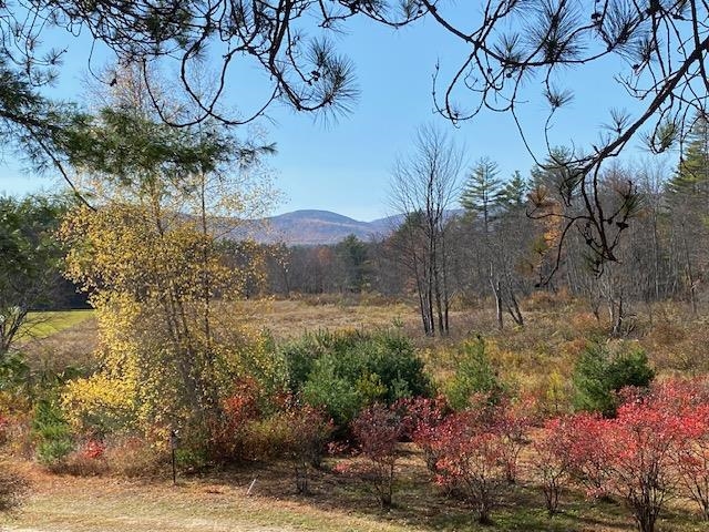 Local Views 22370152