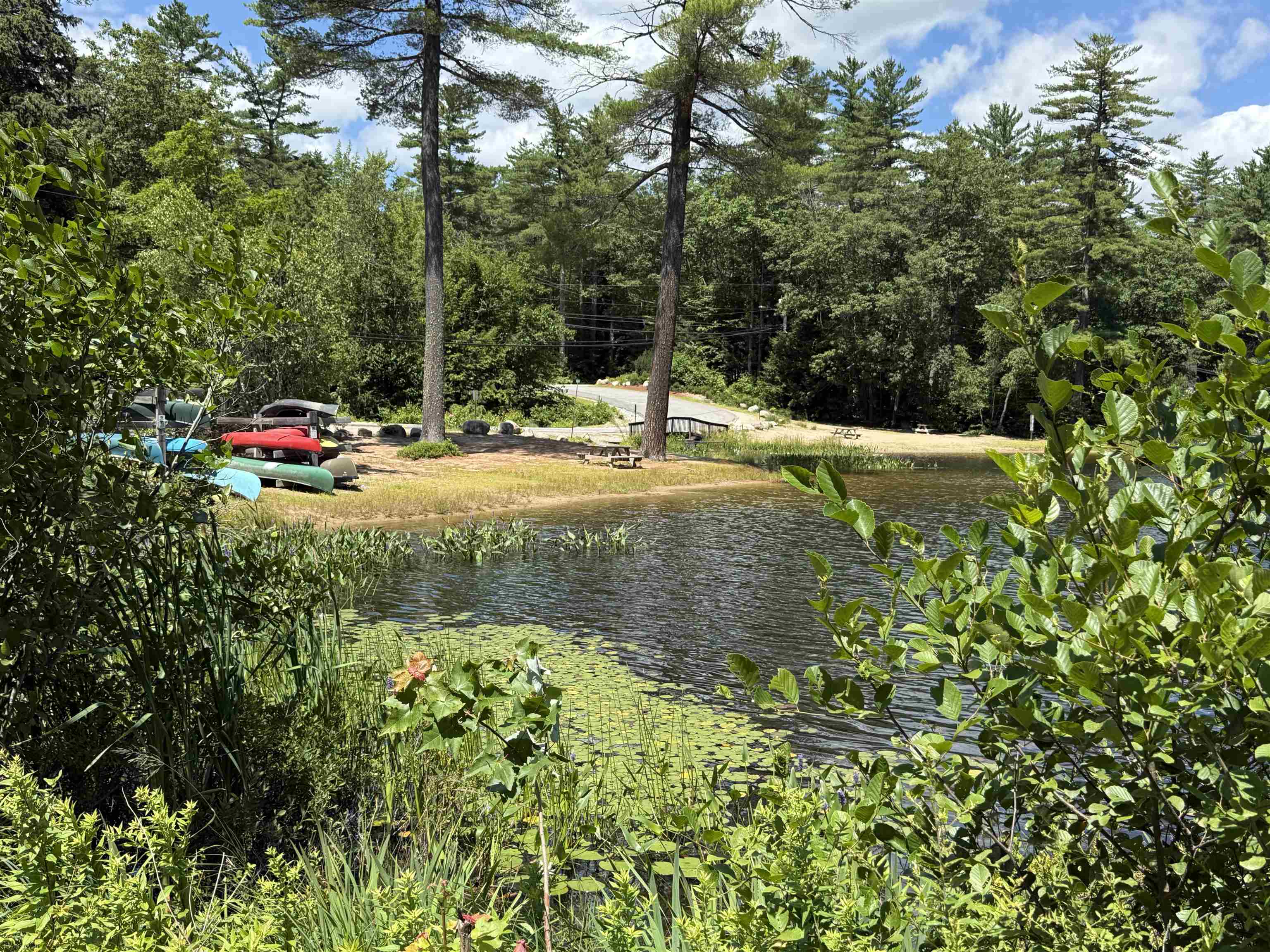 52 Appenvel Way, Madison, NH 03849