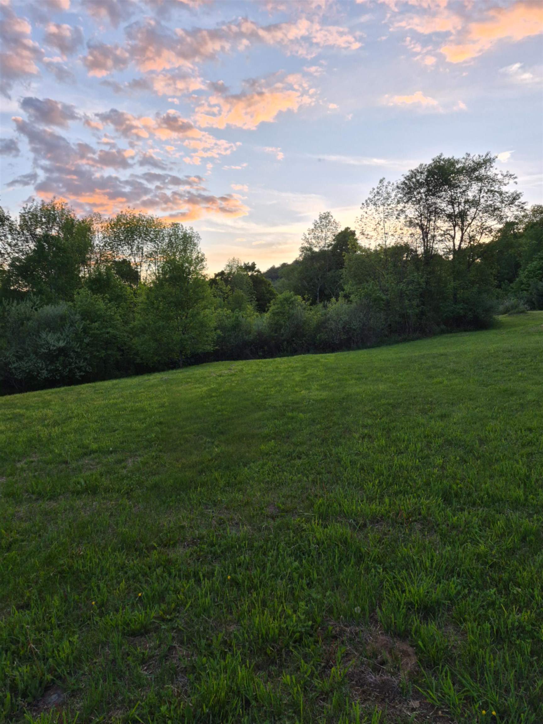 Property photo 29