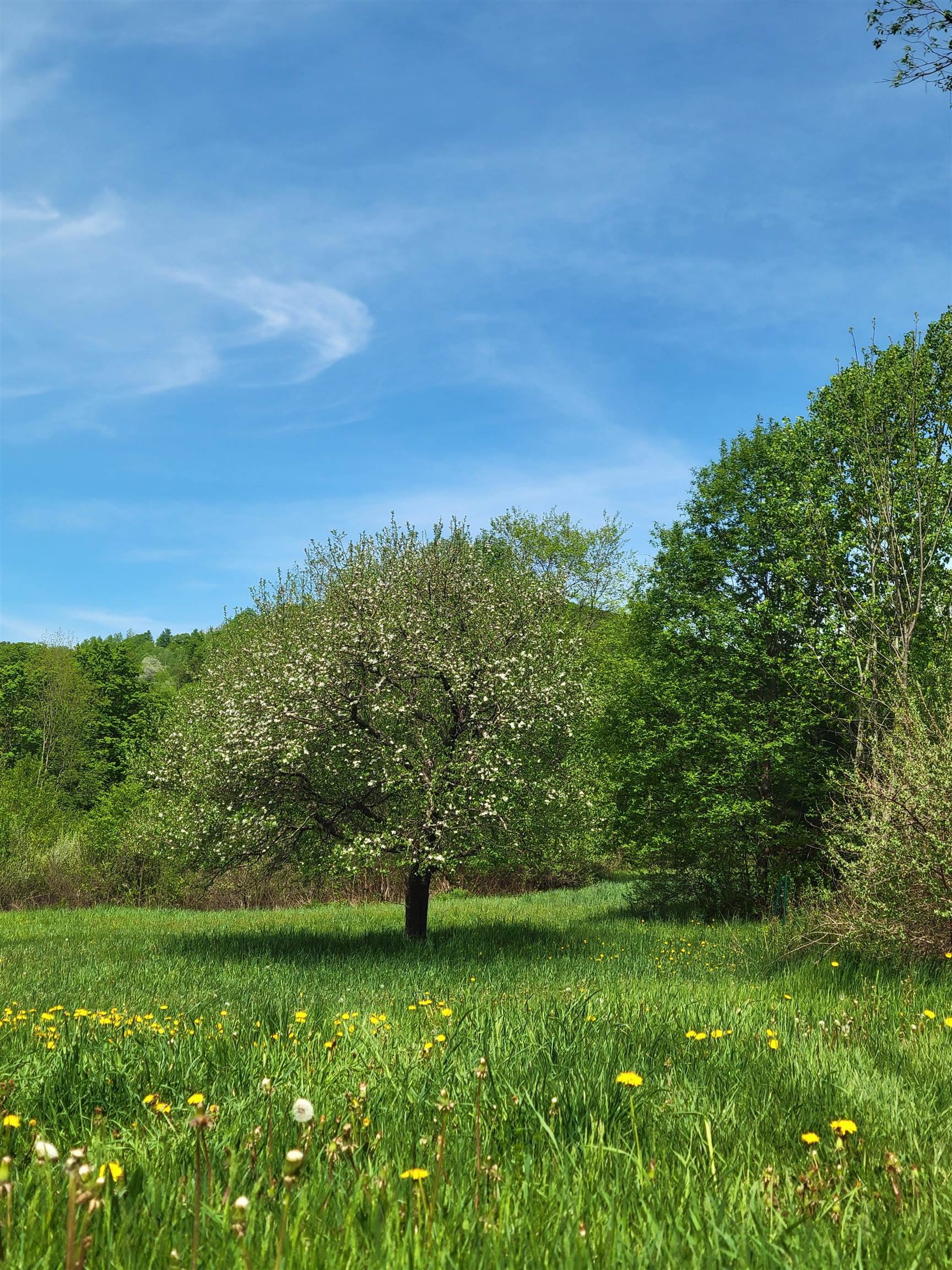 Property photo 35