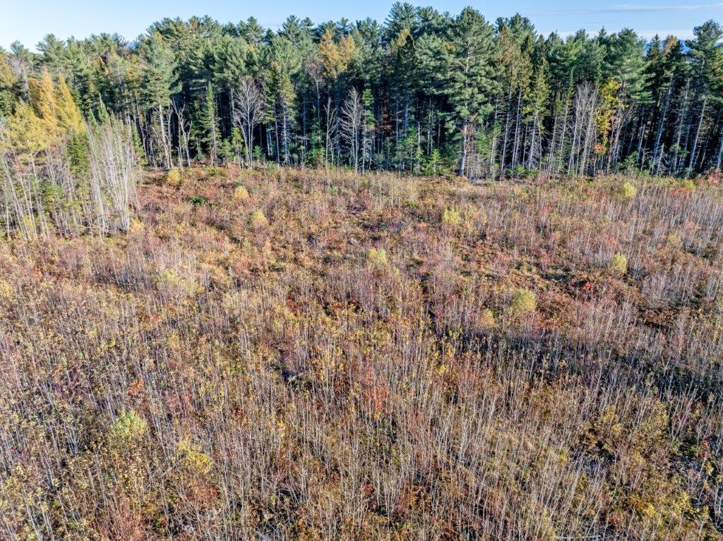 Lot 8 Mcintyre Rd, Dalton, NH 03598