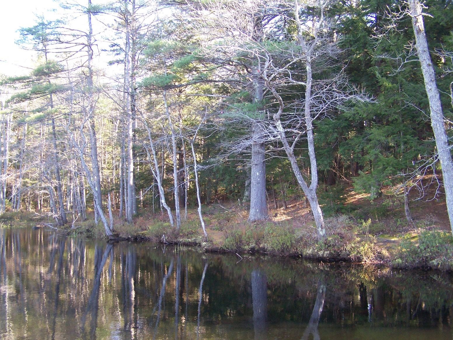 Fitzwilliam NH&nbsp;Land for sale $$175,000 | 5 Acres  | Price Per Acre $0 