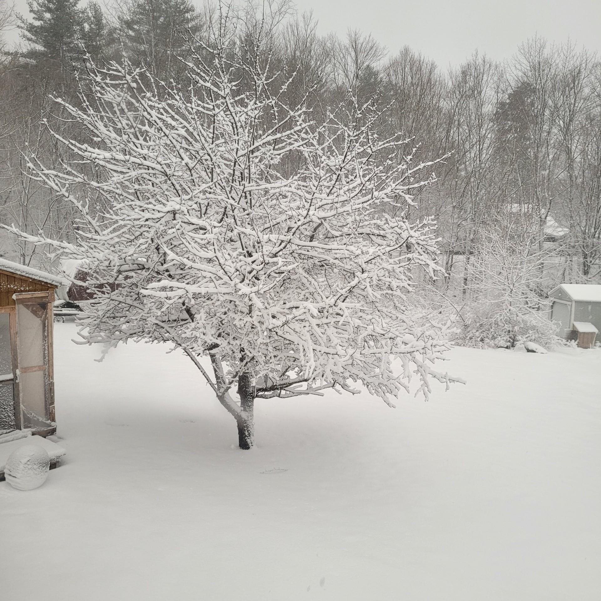 19 Bible Hill Rd, Claremont, NH 03743