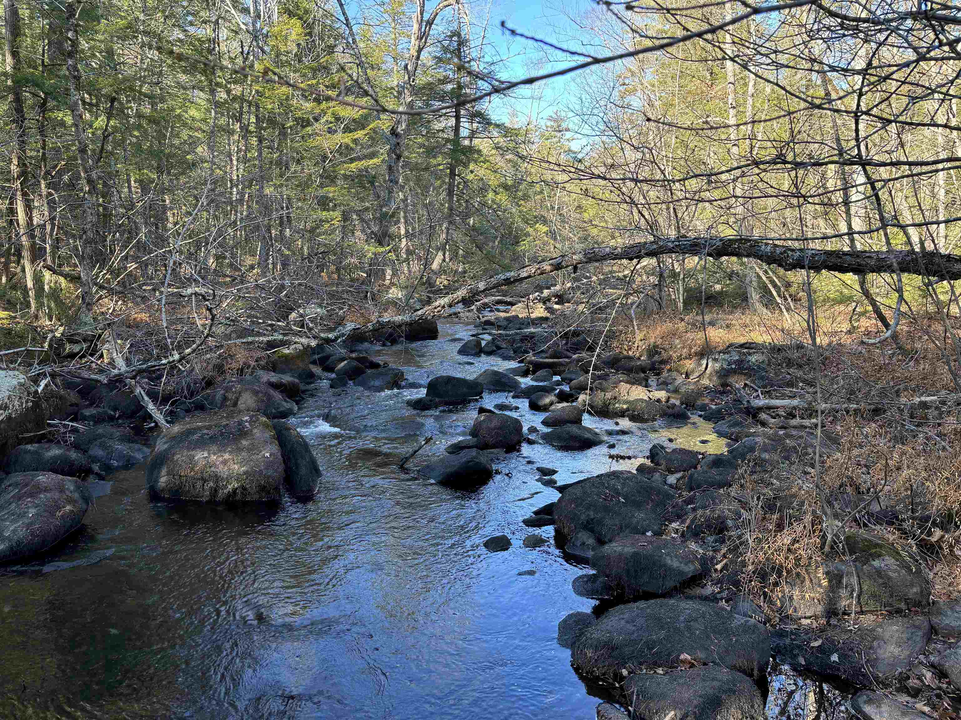 481 Chocorua Mountain Highway, Tamworth, NH photo 2