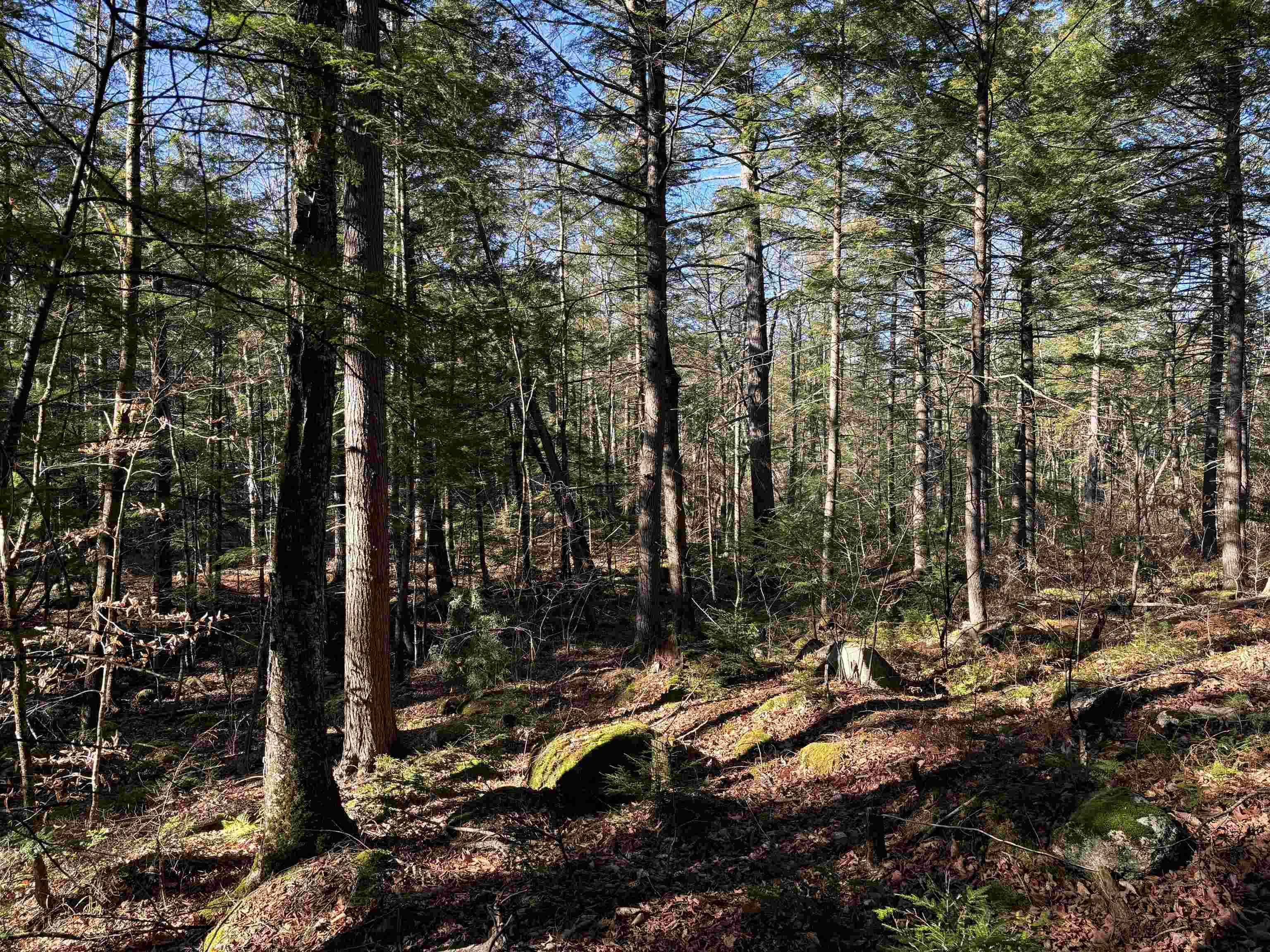 481 Chocorua Mountain Hw, Tamworth, NH 03886