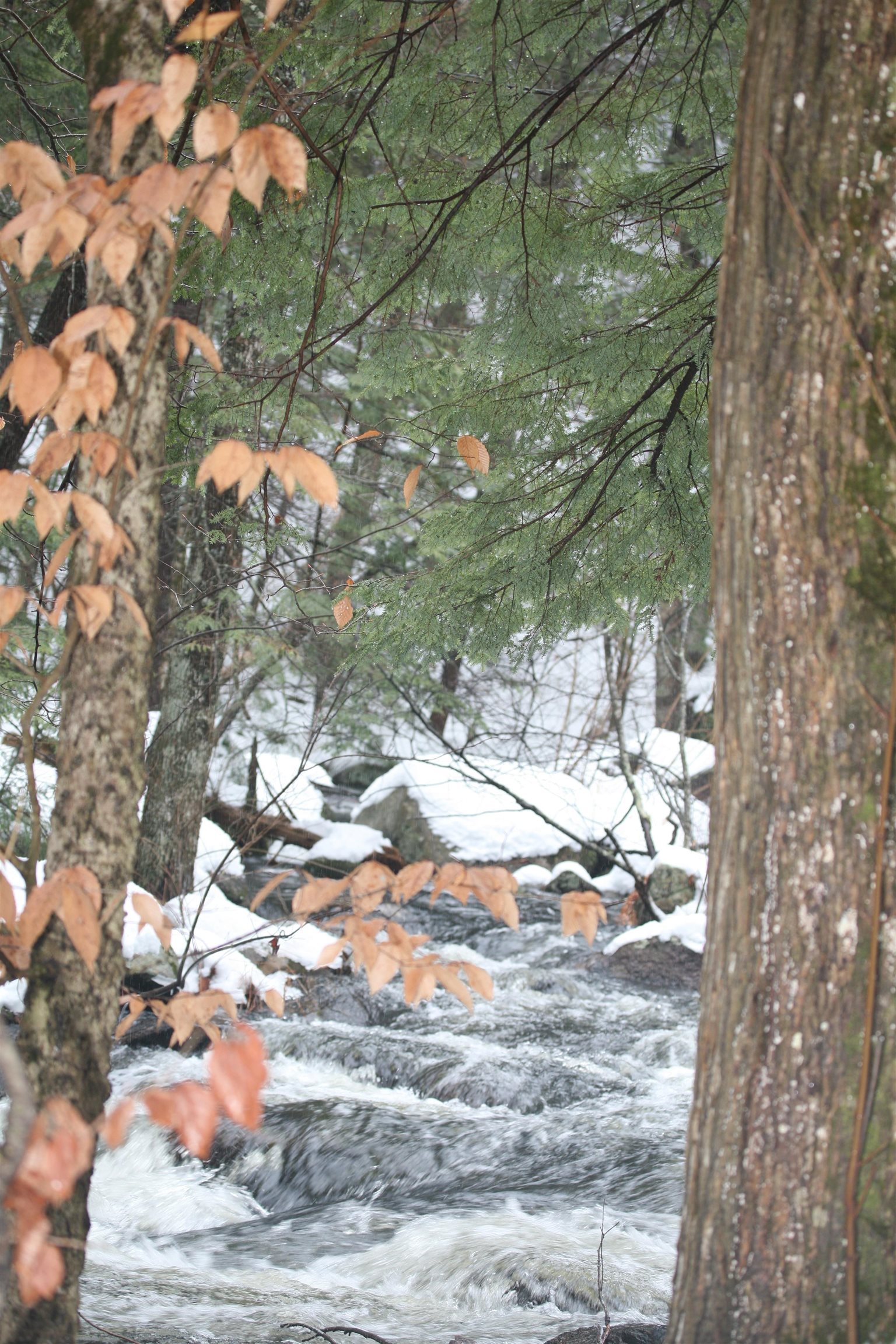 481 Chocorua Mountain Hw, Tamworth, NH 03886