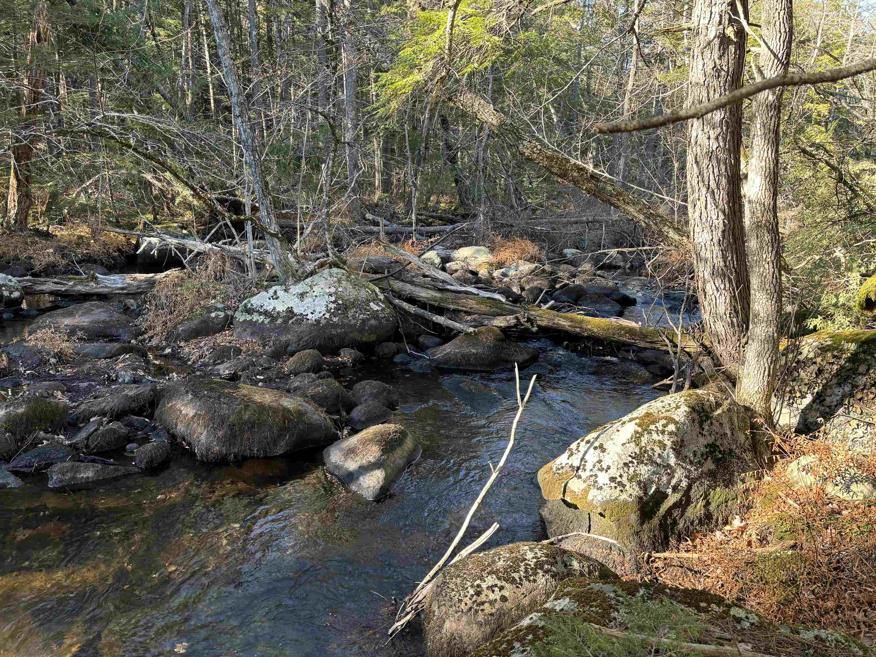 481 Chocorua Mountain Hw, Tamworth, NH 03886