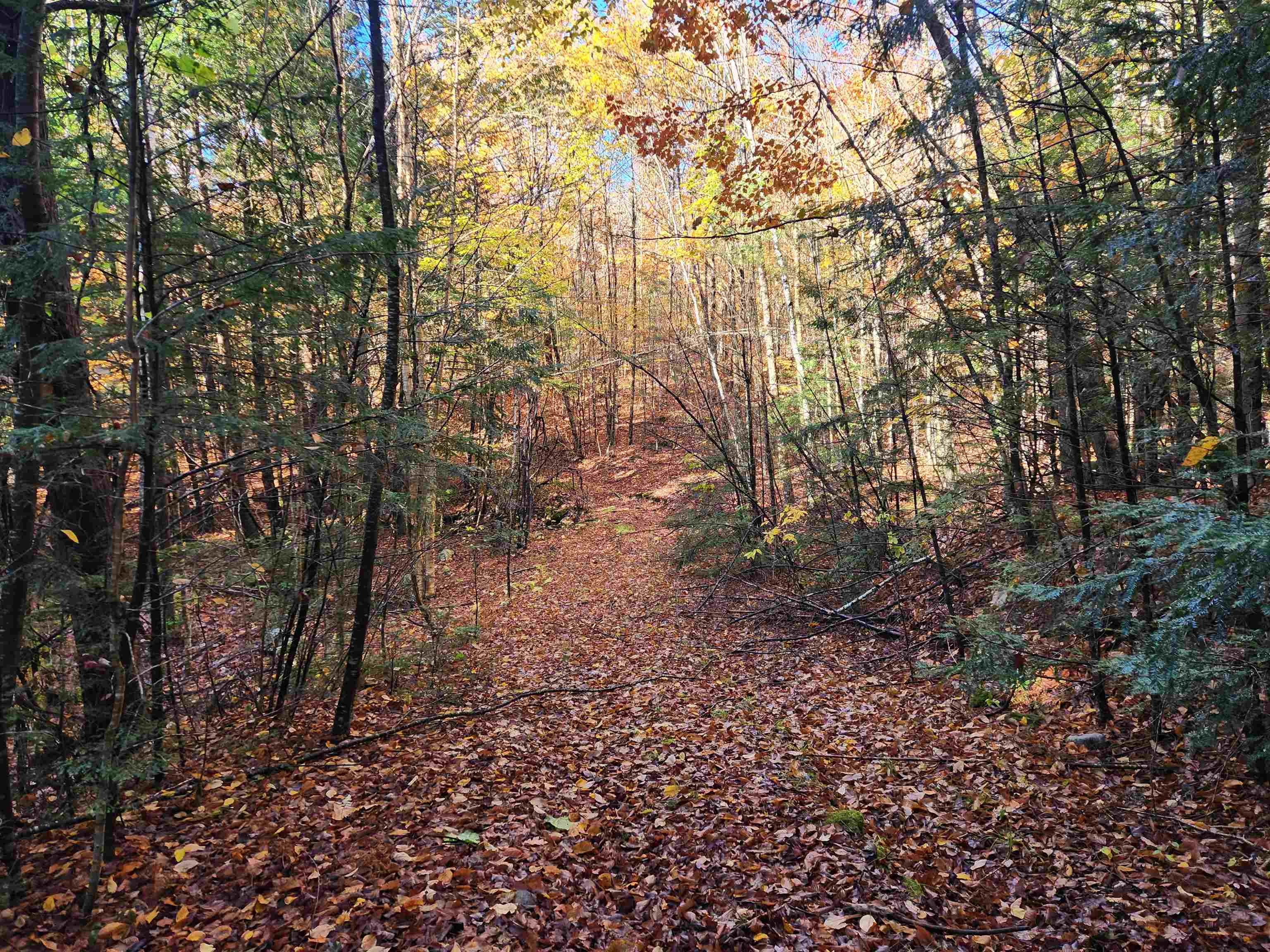 R02-13 Calef Hill Road — photo 2