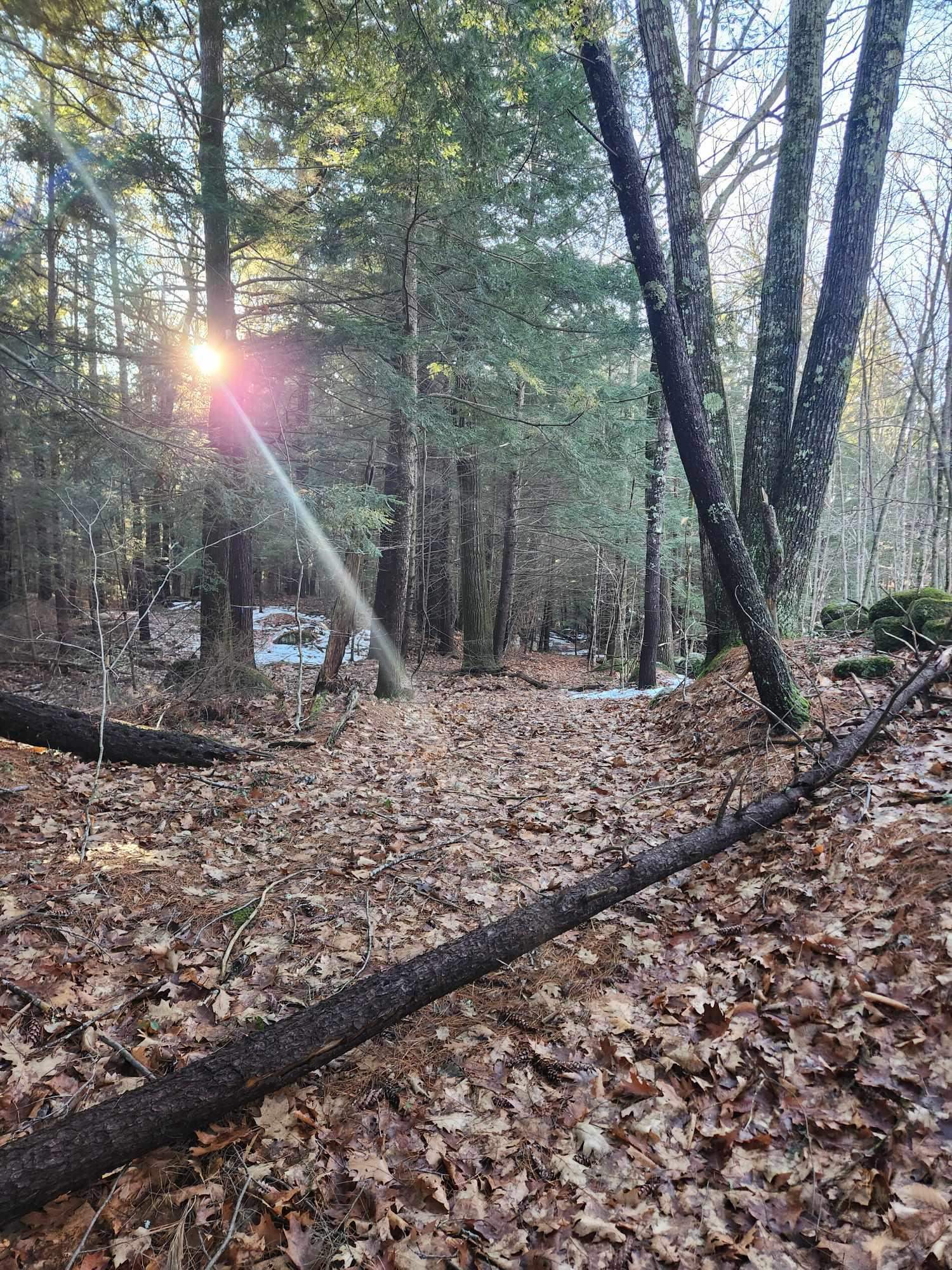 0 West Main St, Hillsborough, NH 03244