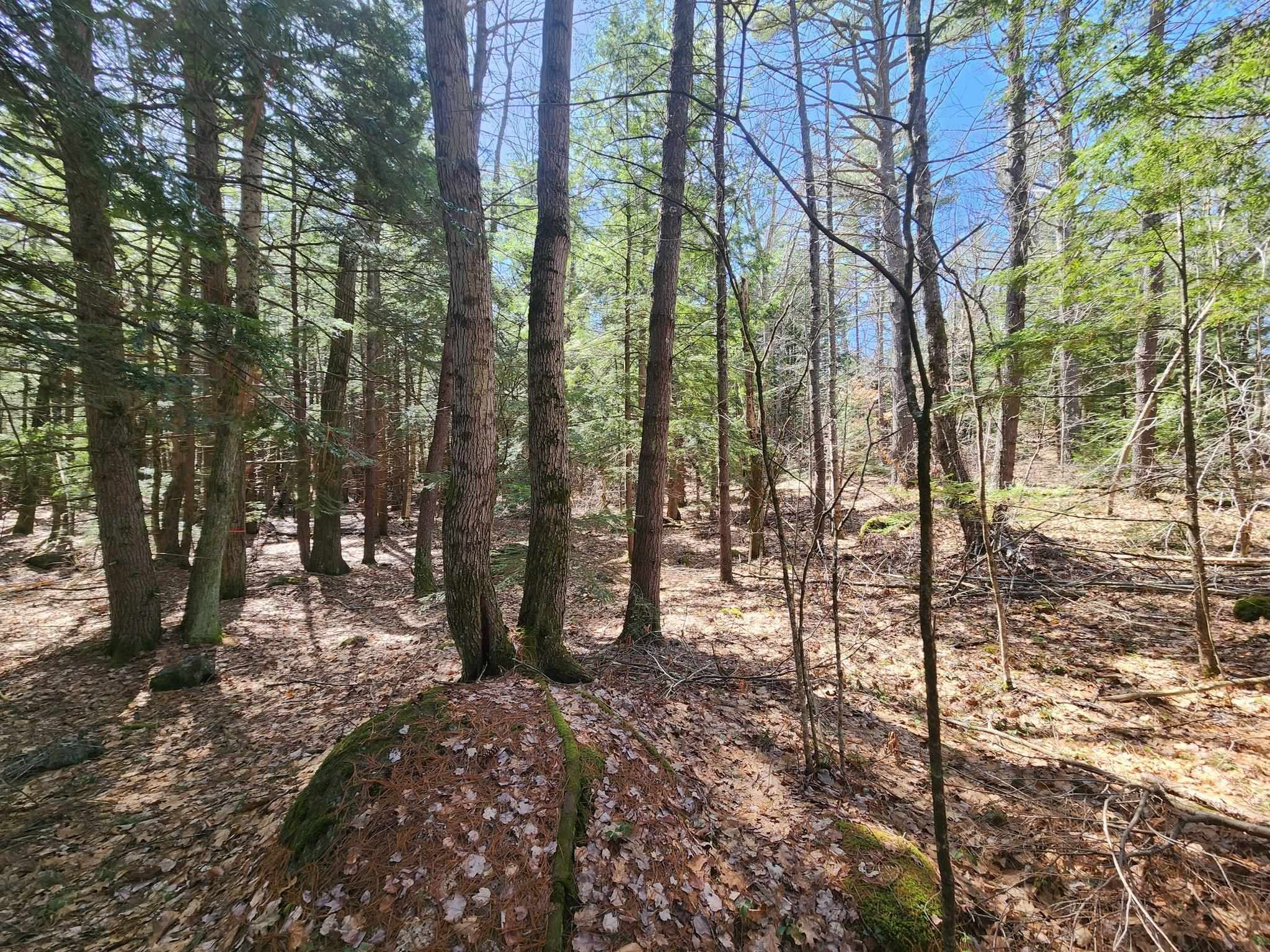 West Main St, Hillsborough, NH 03244