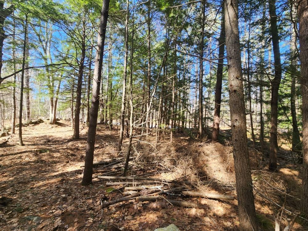 Hillsborough NH&nbsp;Land for sale $$189,000 | 2.84 Acres  | Price Per Acre $0 
