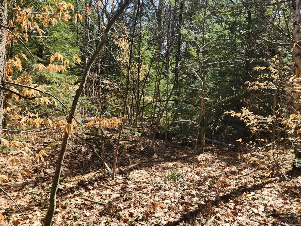 1 West Main St, Hillsborough, NH 03244