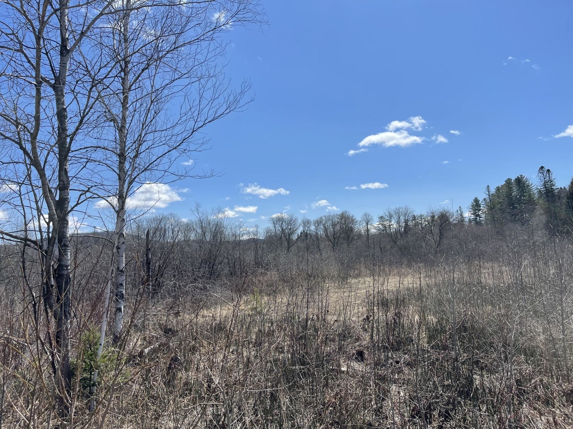 Lyndon VT&nbsp;Land for sale $$29,000 | 1 Acres  | Price Per Acre $0 