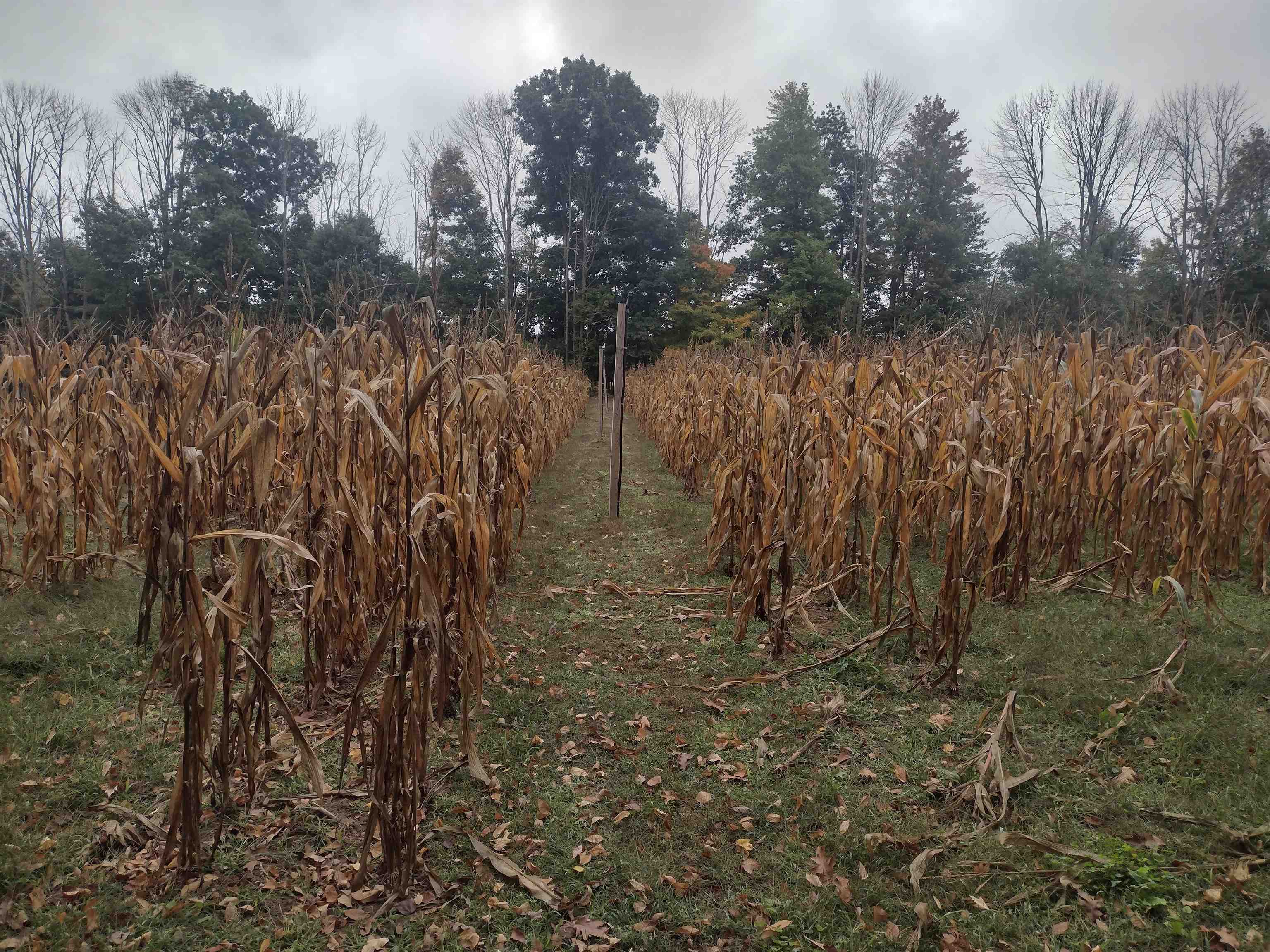 632 Salmon Falls Rd, Rochester, NH 03868