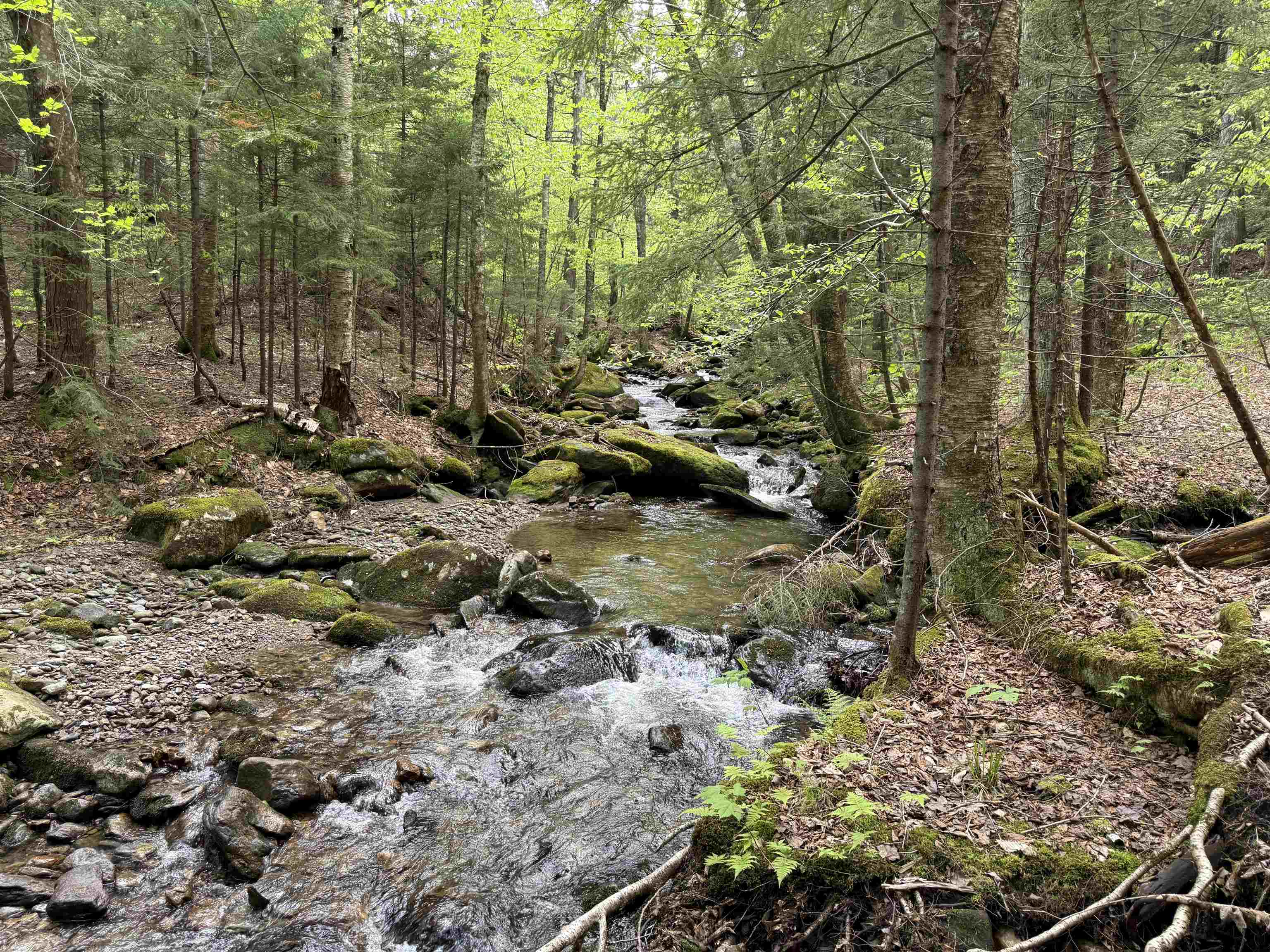 Property photo 18