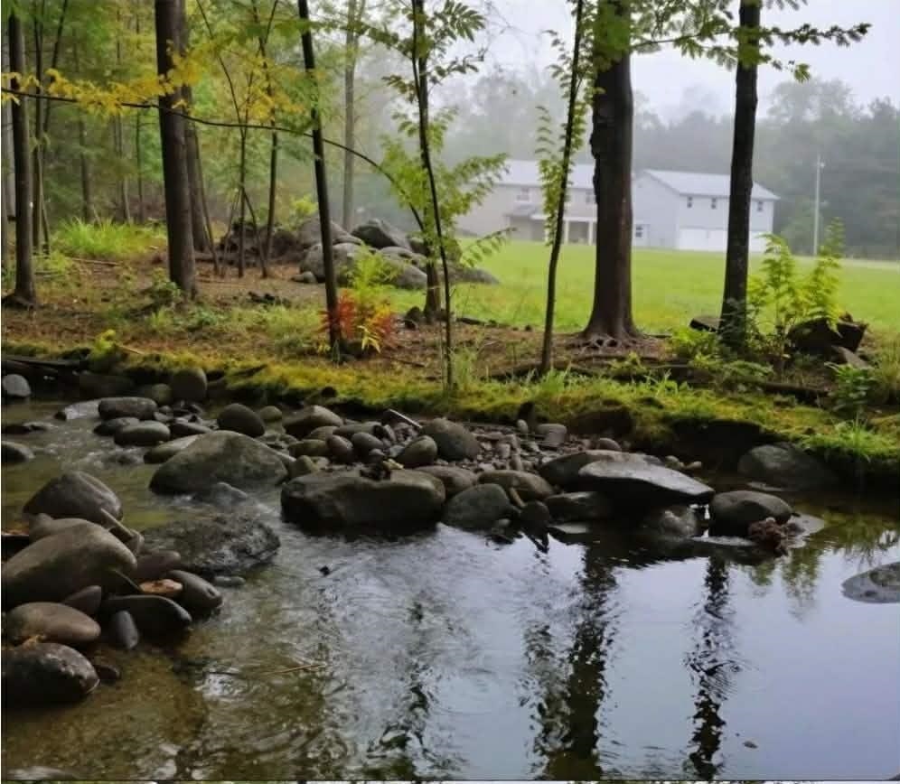 Soothing creek that is on the edge of the property