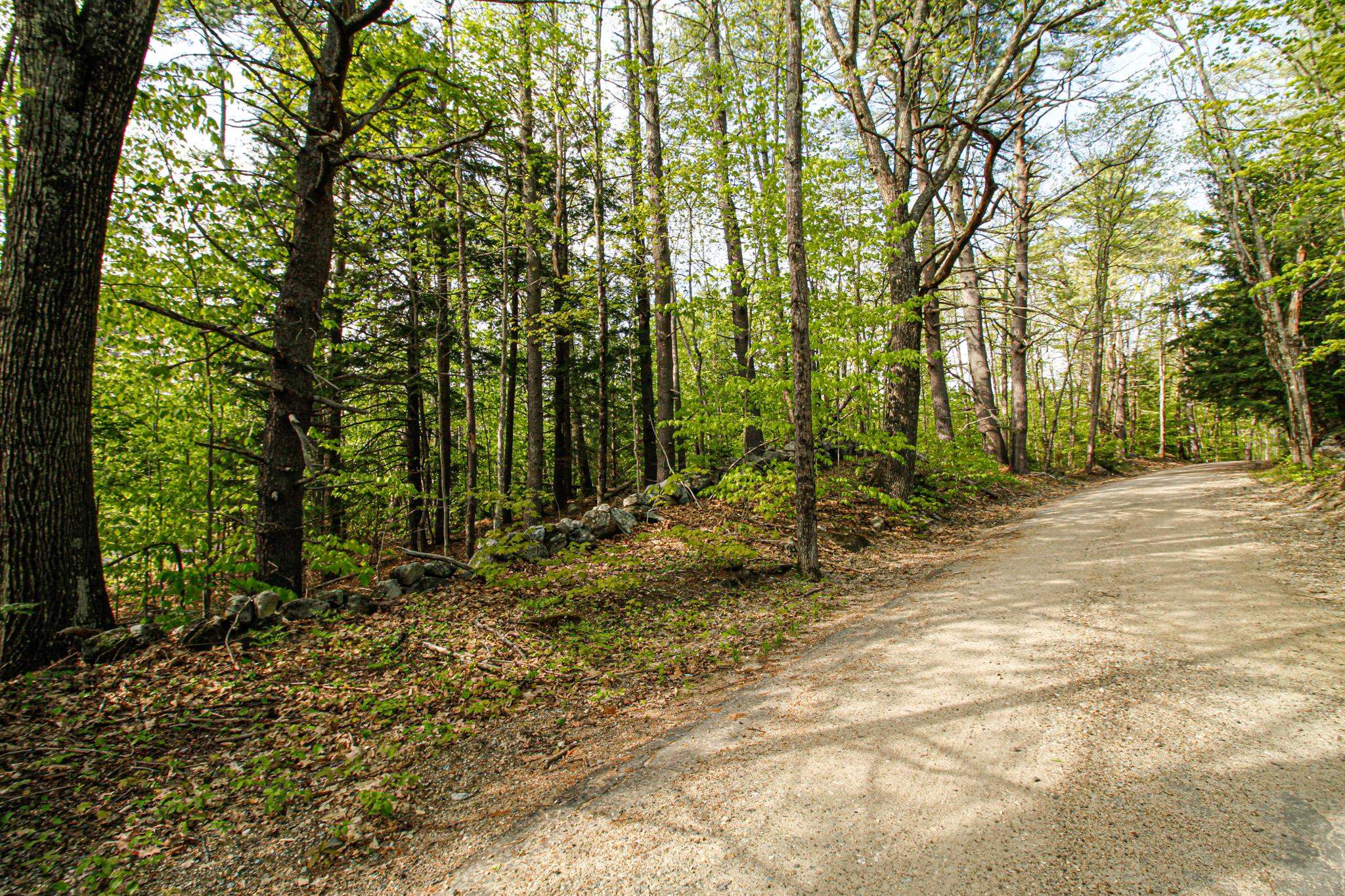 224 Lot 20 Elijah Beede Road — photo 2