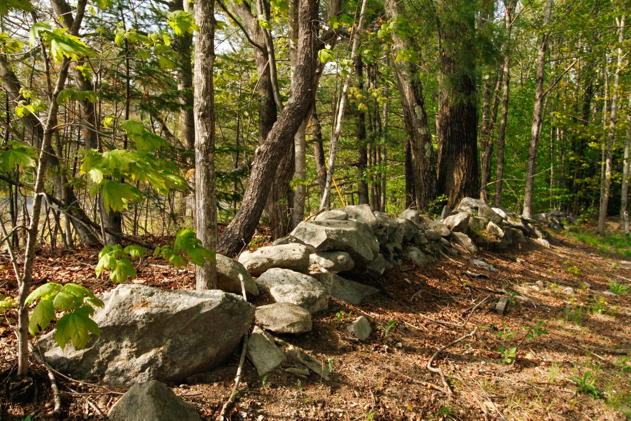 224 Lot 20 Elijah Beede Road — photo 3