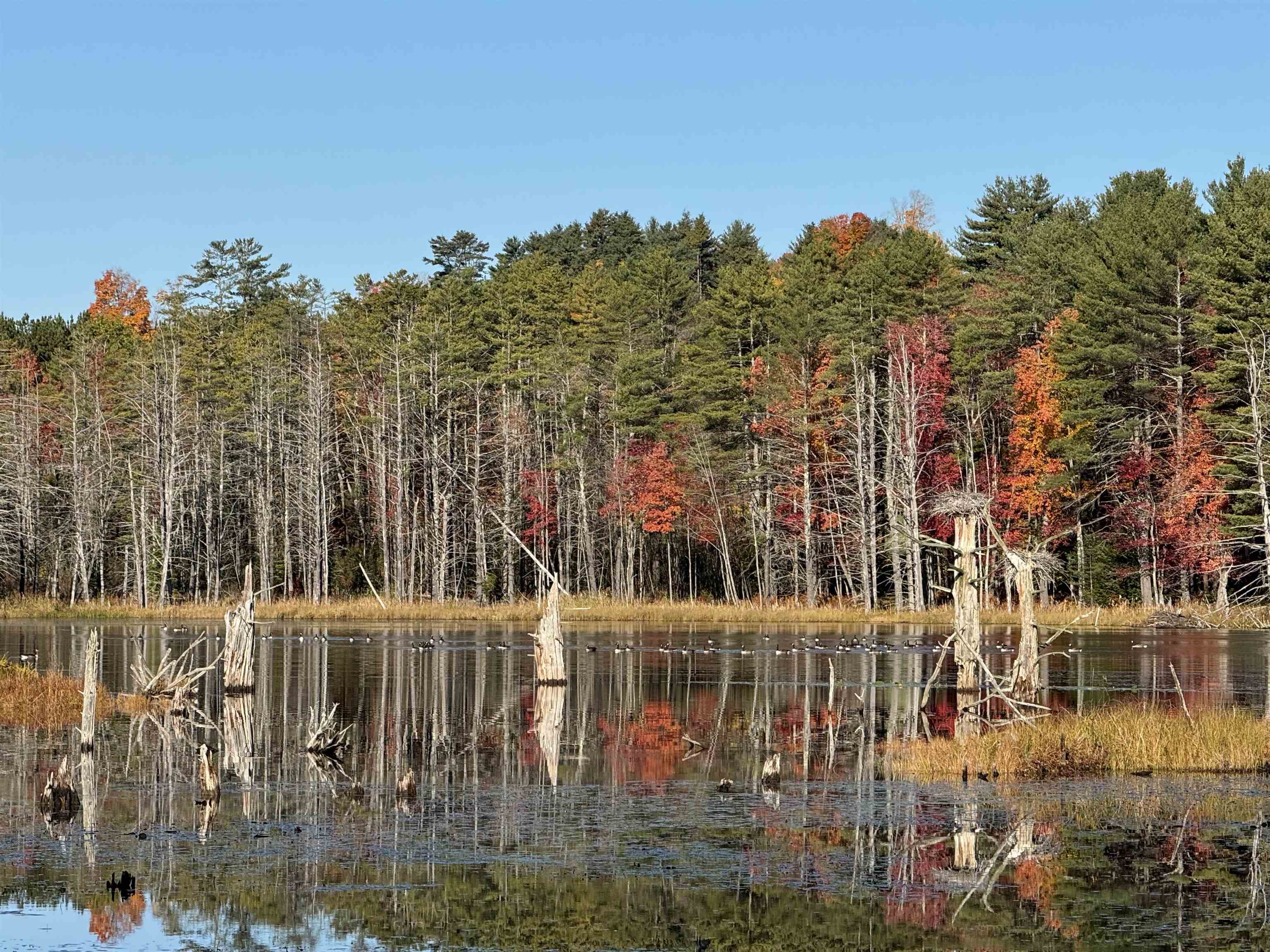 Sutton NH&nbsp;Land for sale $$370,000 | 14.7 Acres  | Price Per Acre $0  | Total Lots 3