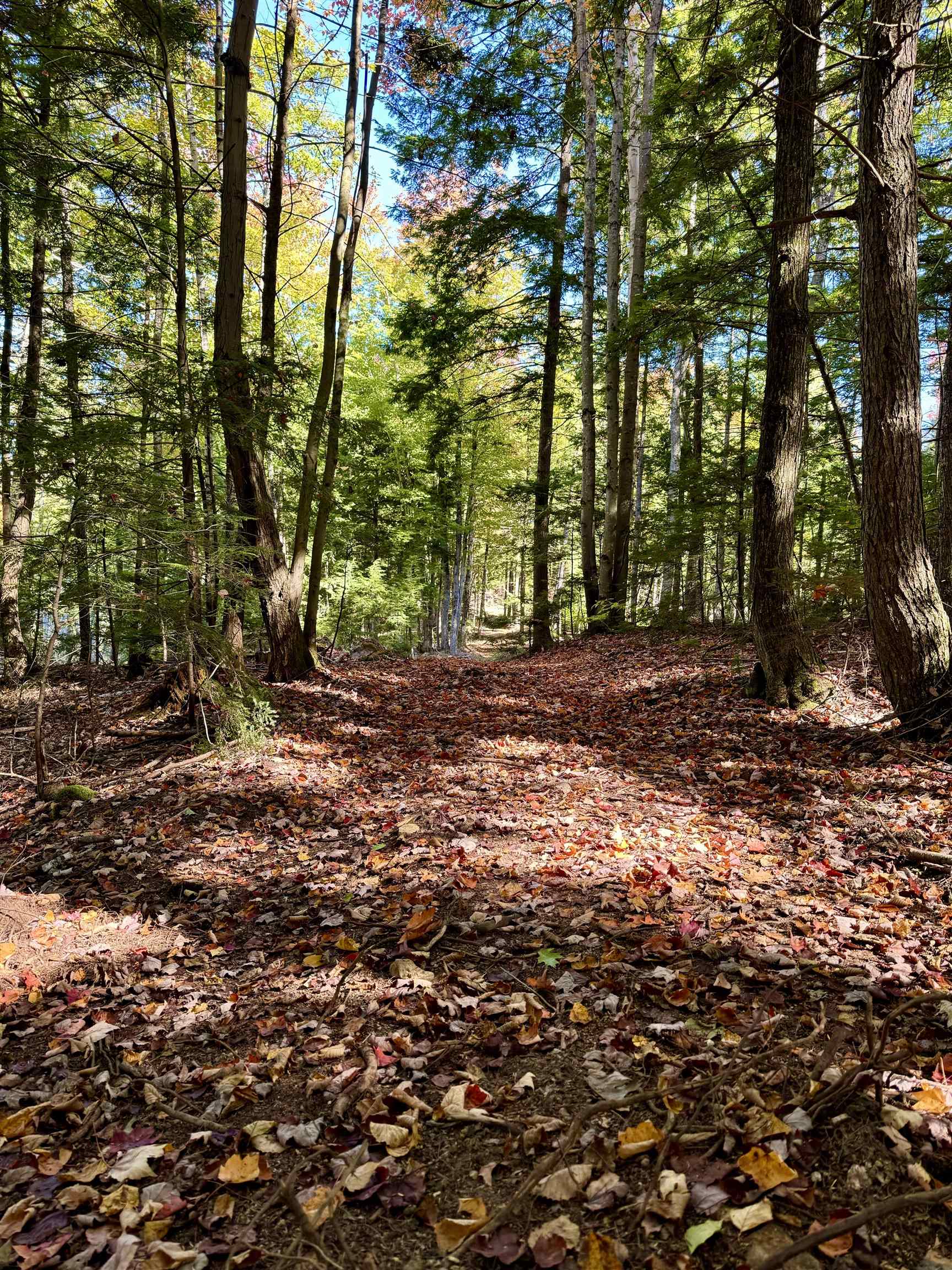 555 Shaker Rd, Sutton, NH 03260