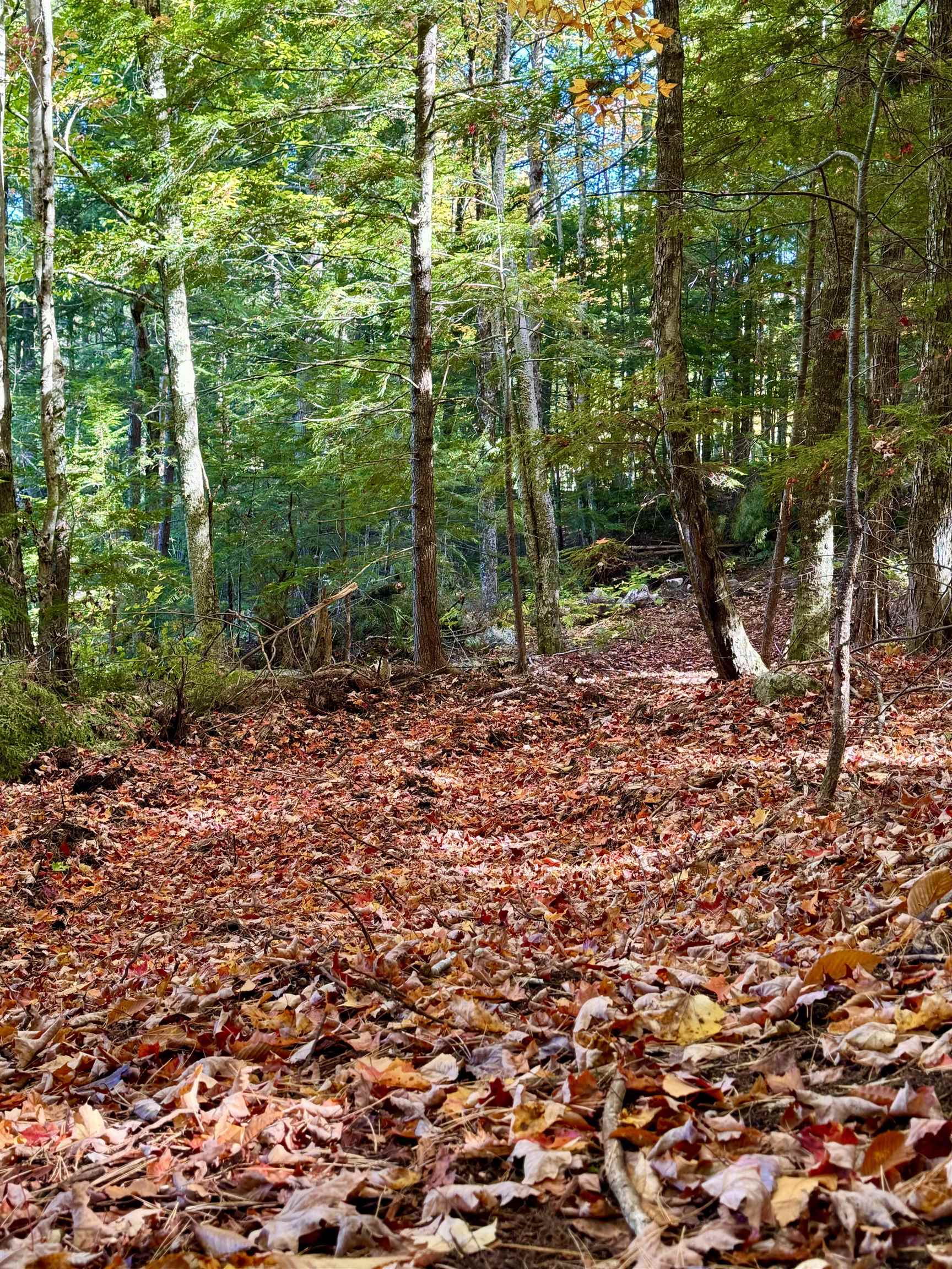 555 Shaker Rd, Sutton, NH 03260