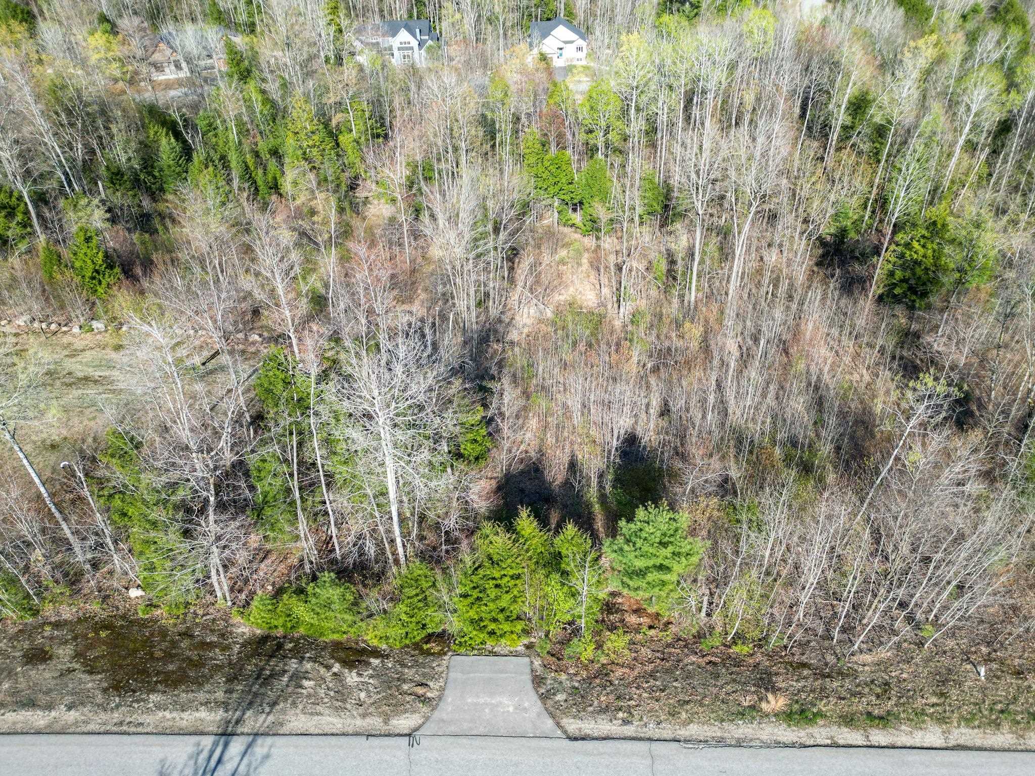 64 Grandview Rd, Conway, NH 03818