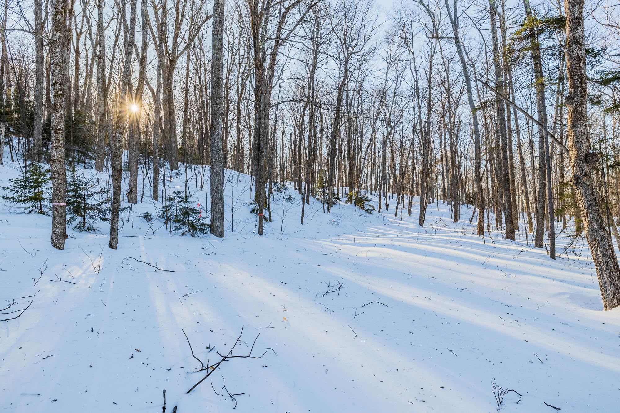 00 Long Hill Rd, Woodstock, VT 05091