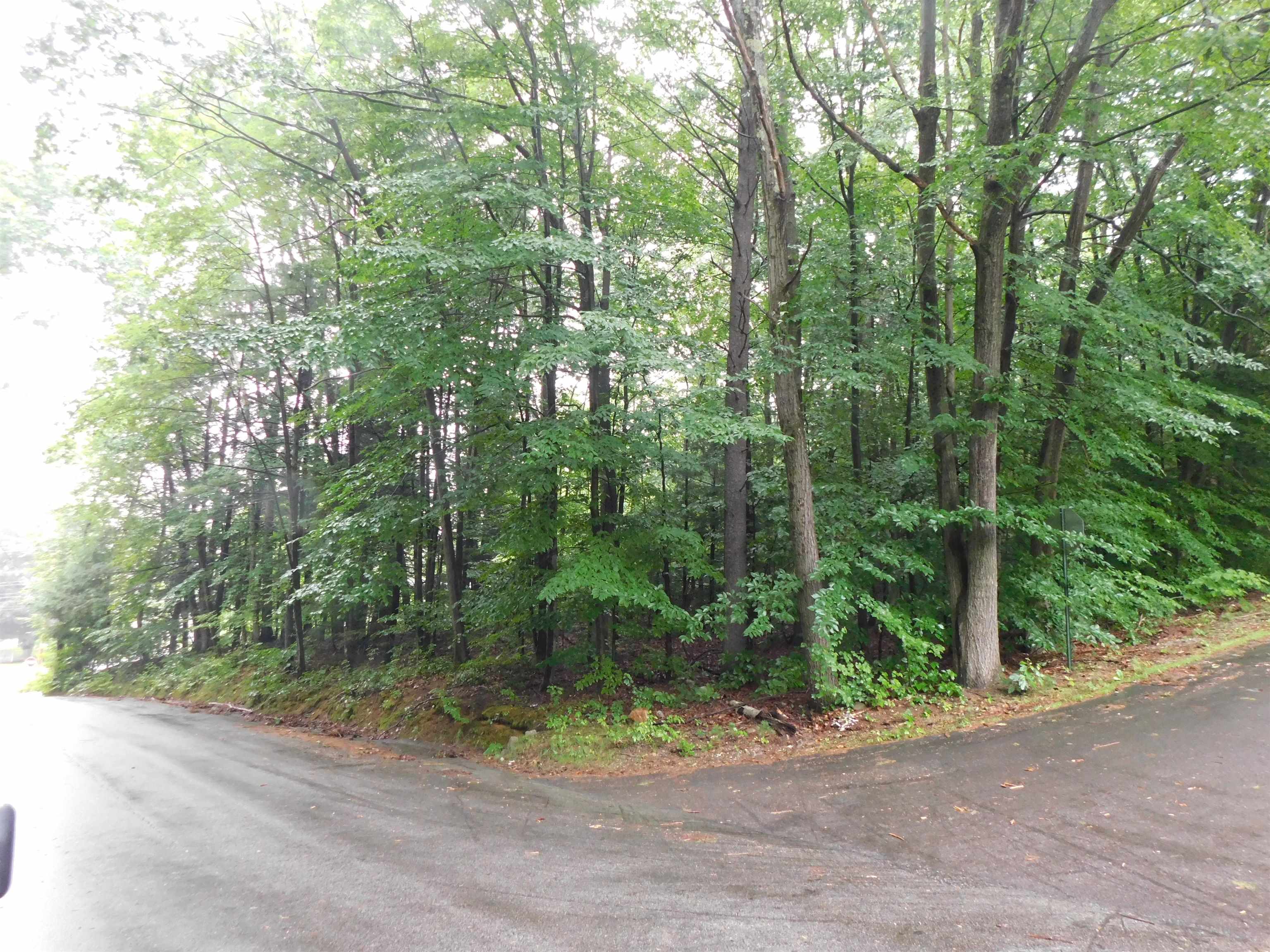 Lots 4 - 7 Gibbons & Robbins Rd, Wilton, NH 03086