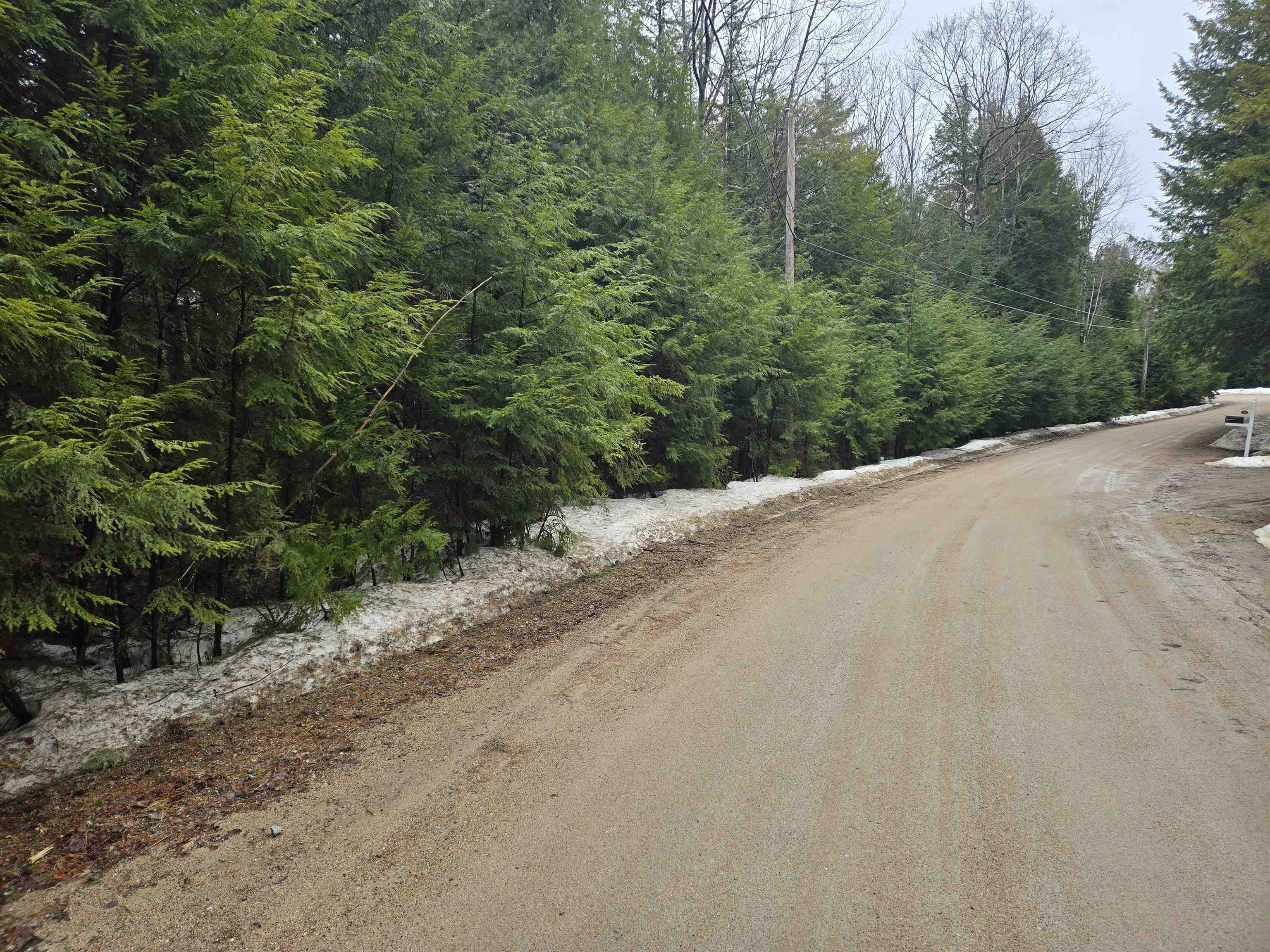 7 Scotch Pine Lane — photo 1