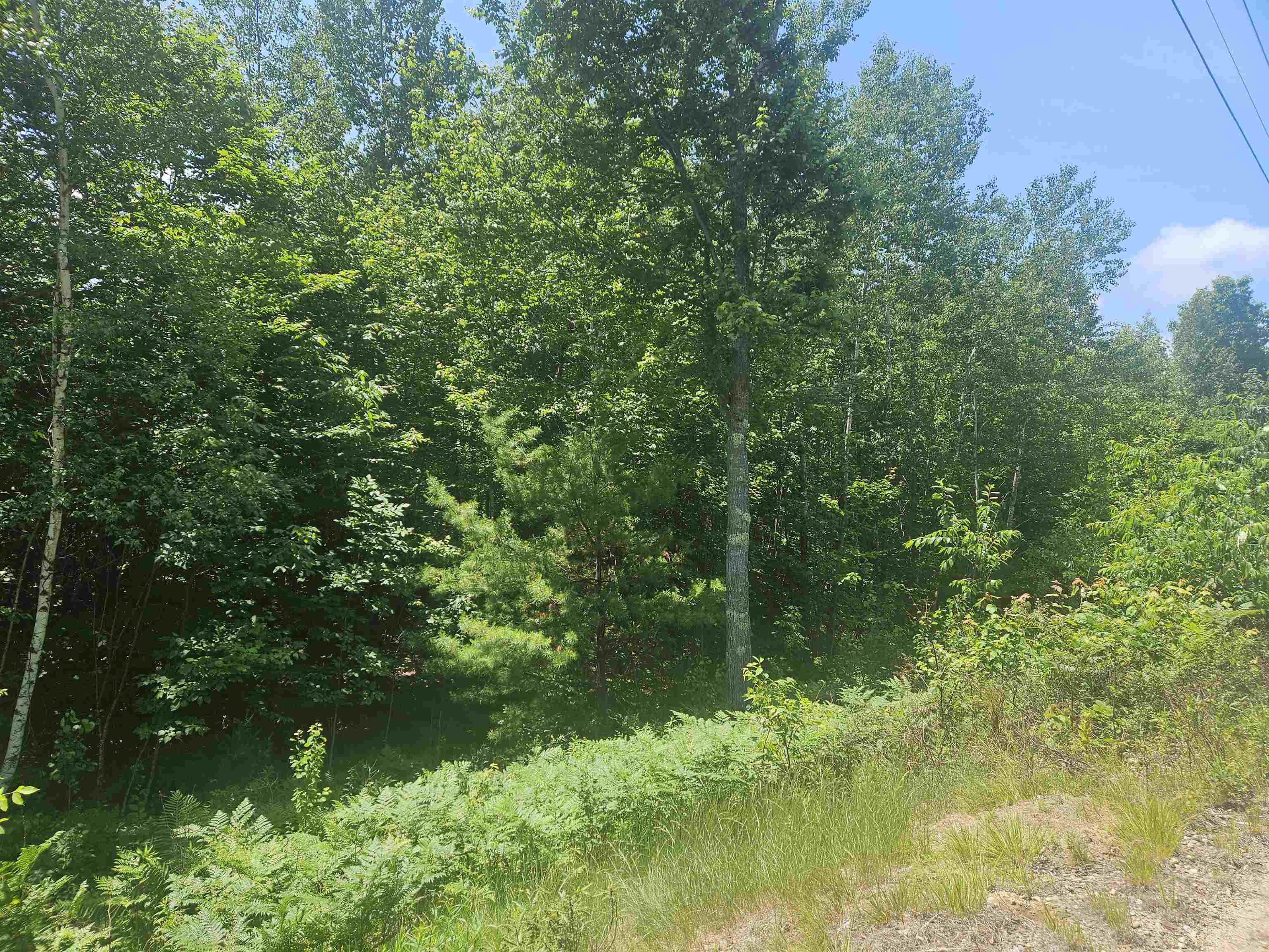 9 Lady Slipper Lane — photo 3