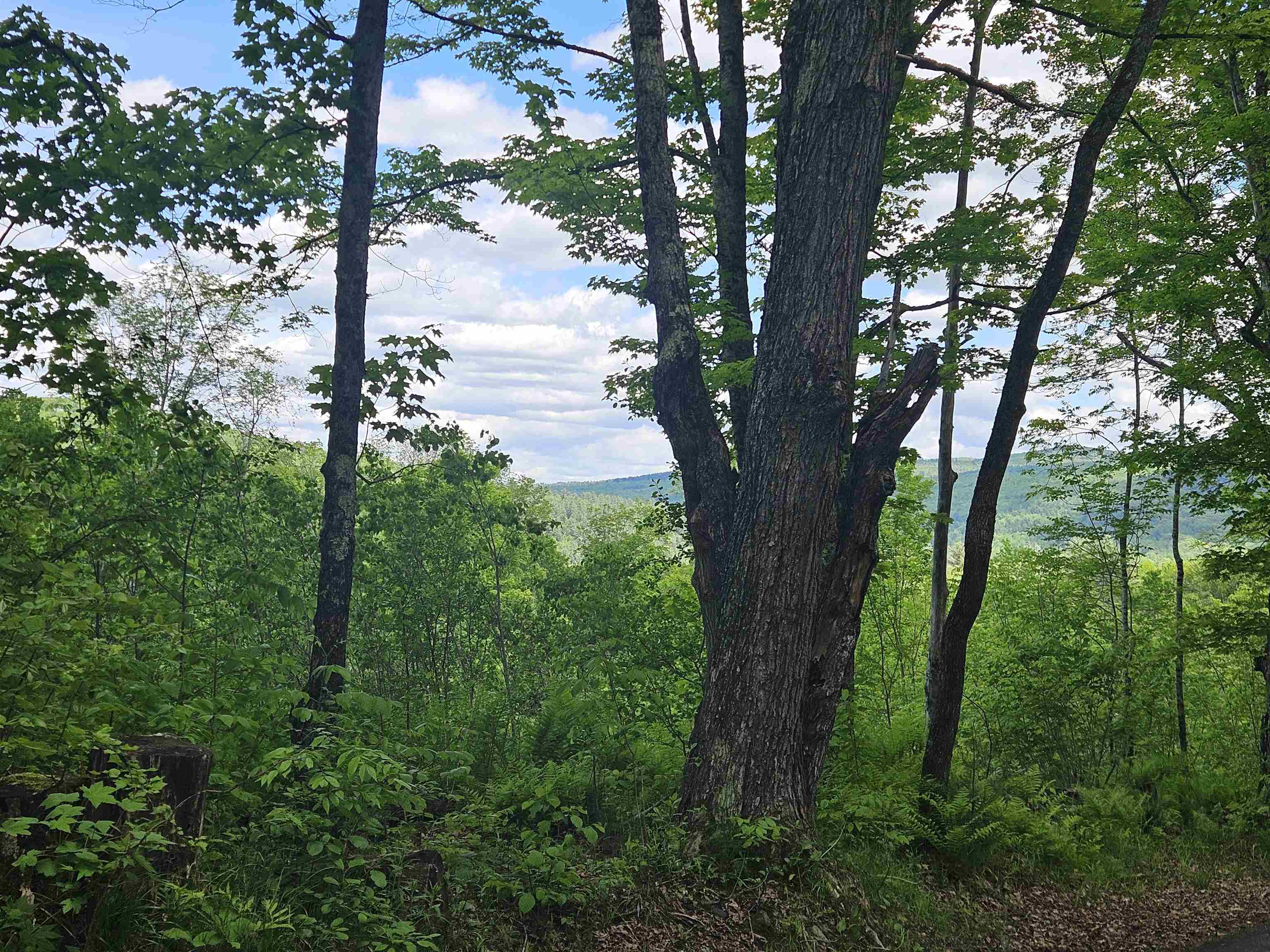 324 Crane Hill Road, Sugar Hill, NH photo 4