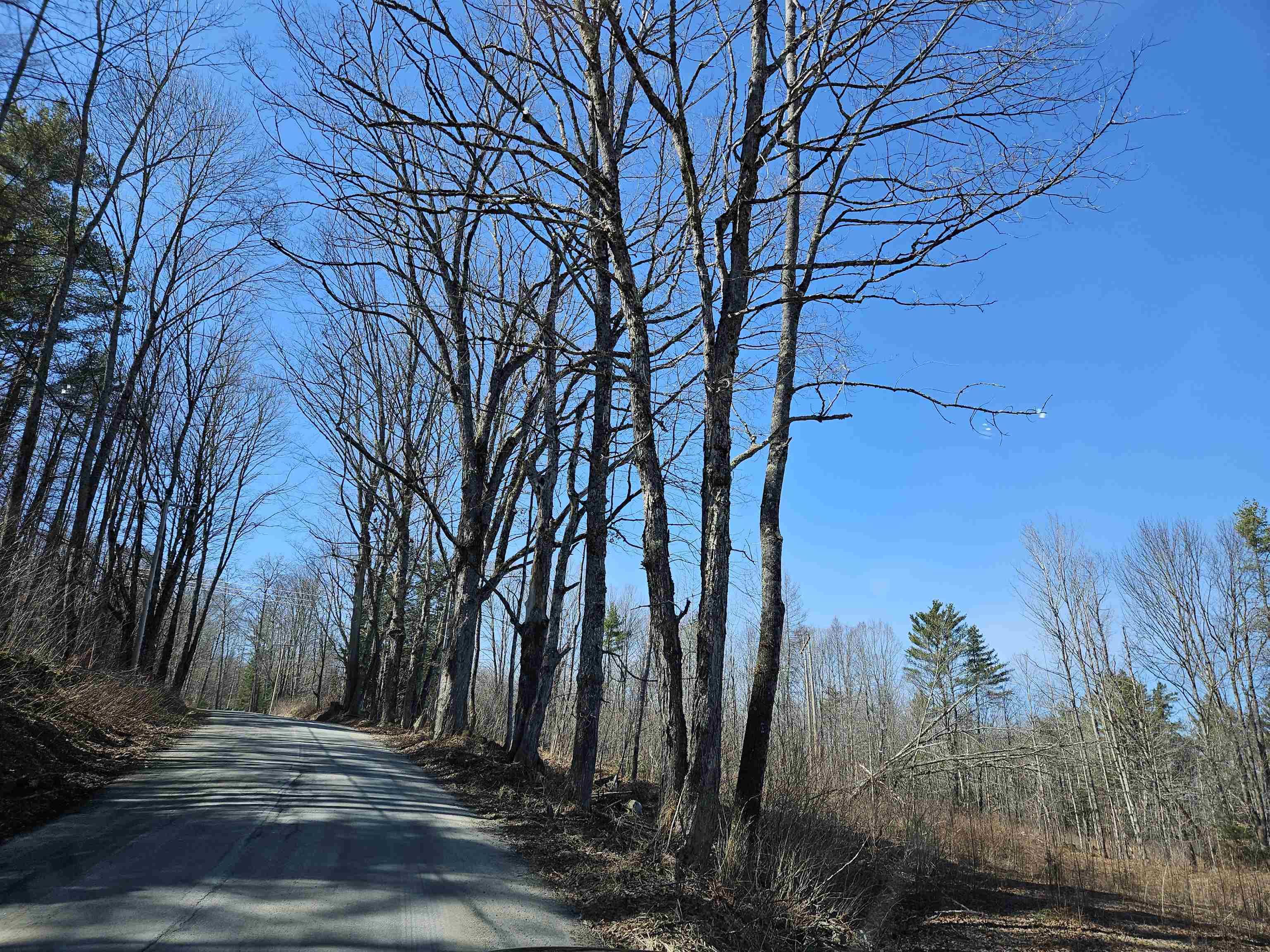 324 Crane Hill Rd, Sugar Hill, NH 03486