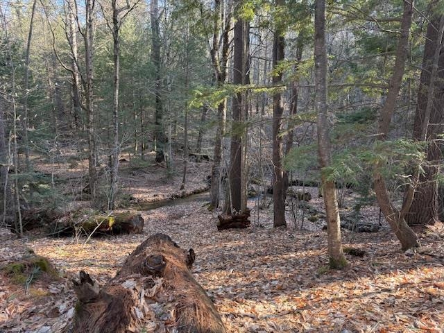 540 x 9 Route 114 , Henniker, NH 03242