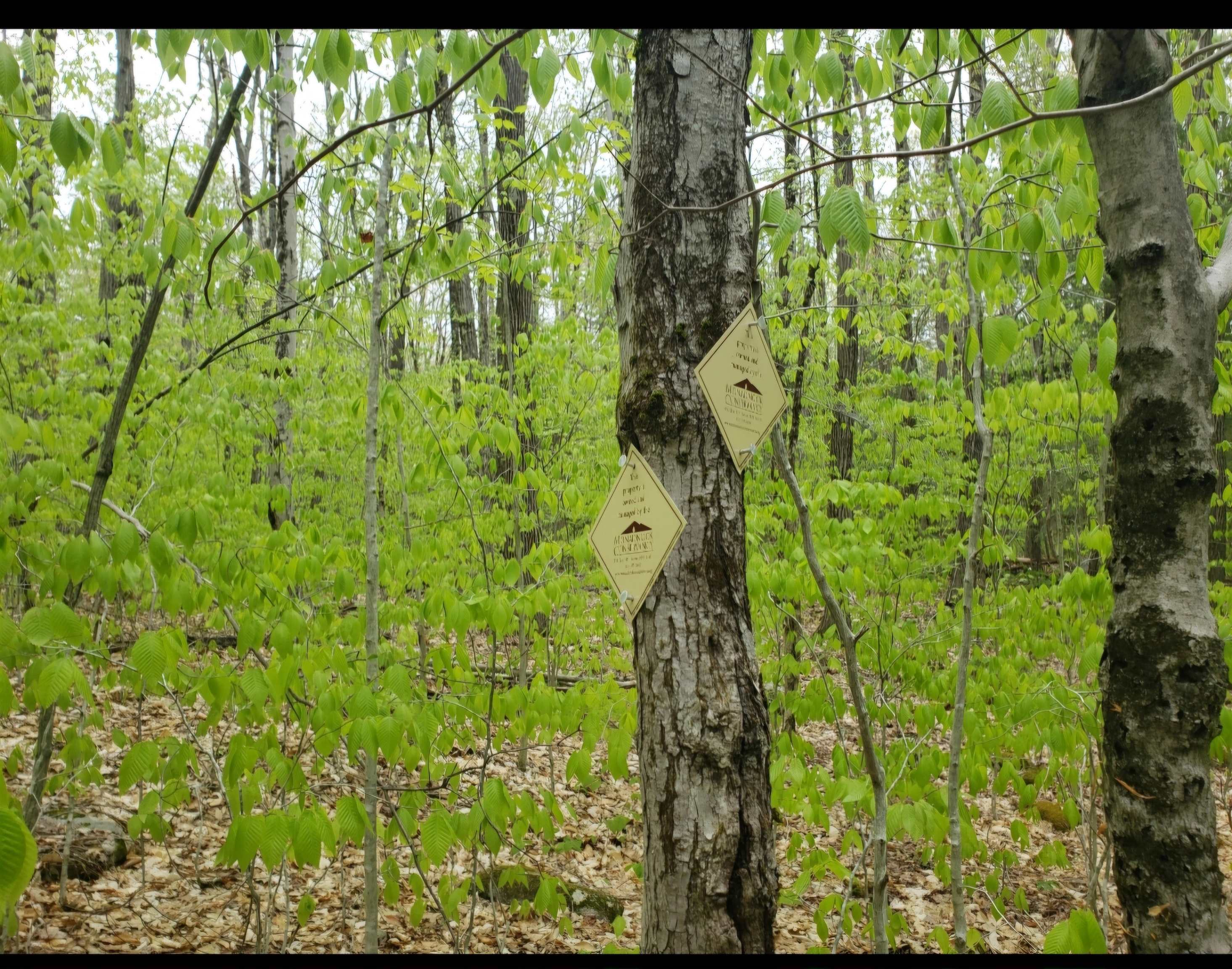 Old Gilsum Rd, Keene, NH 03431