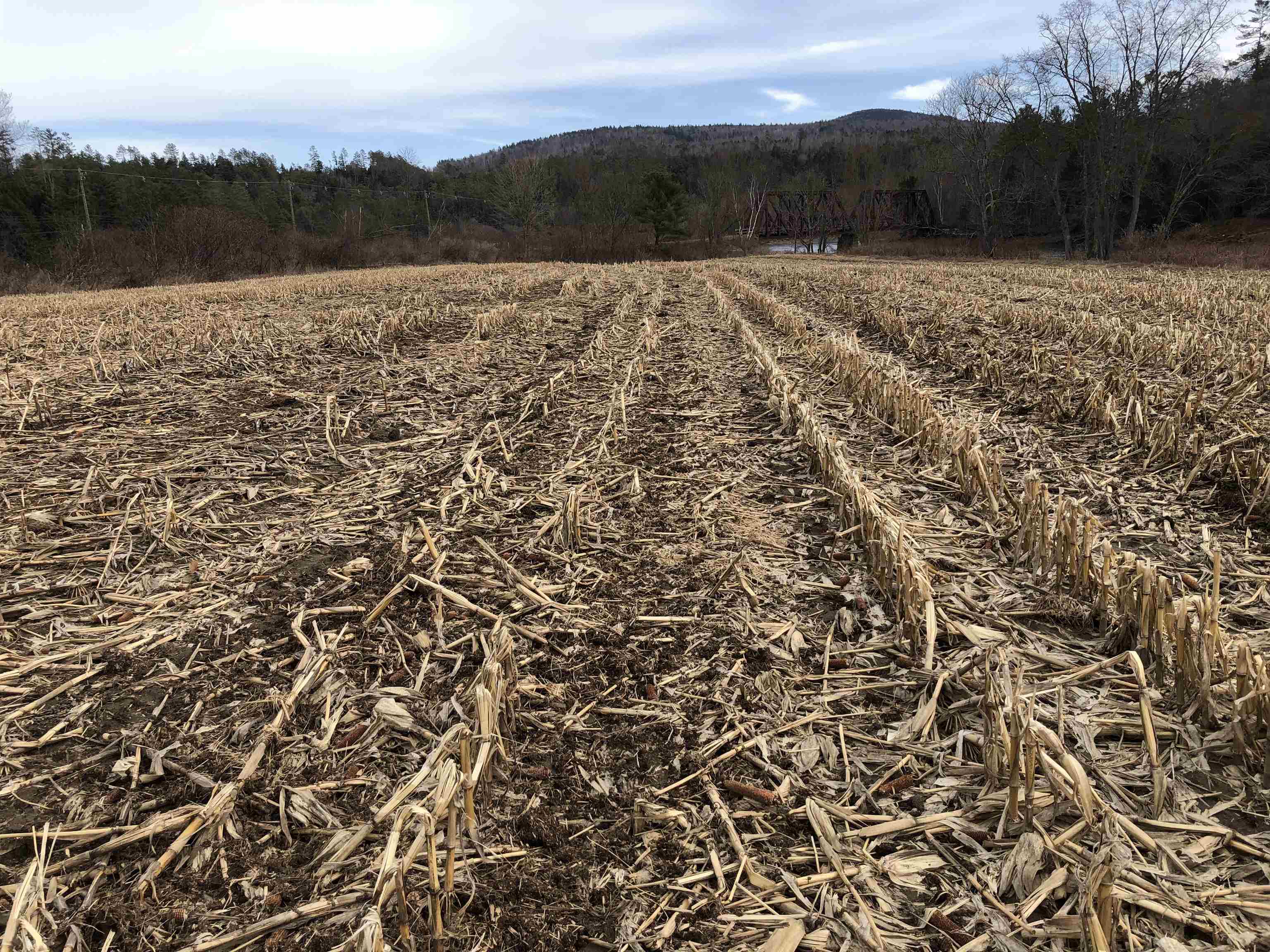 0 Lisbon Rd, Bath, NH 03740