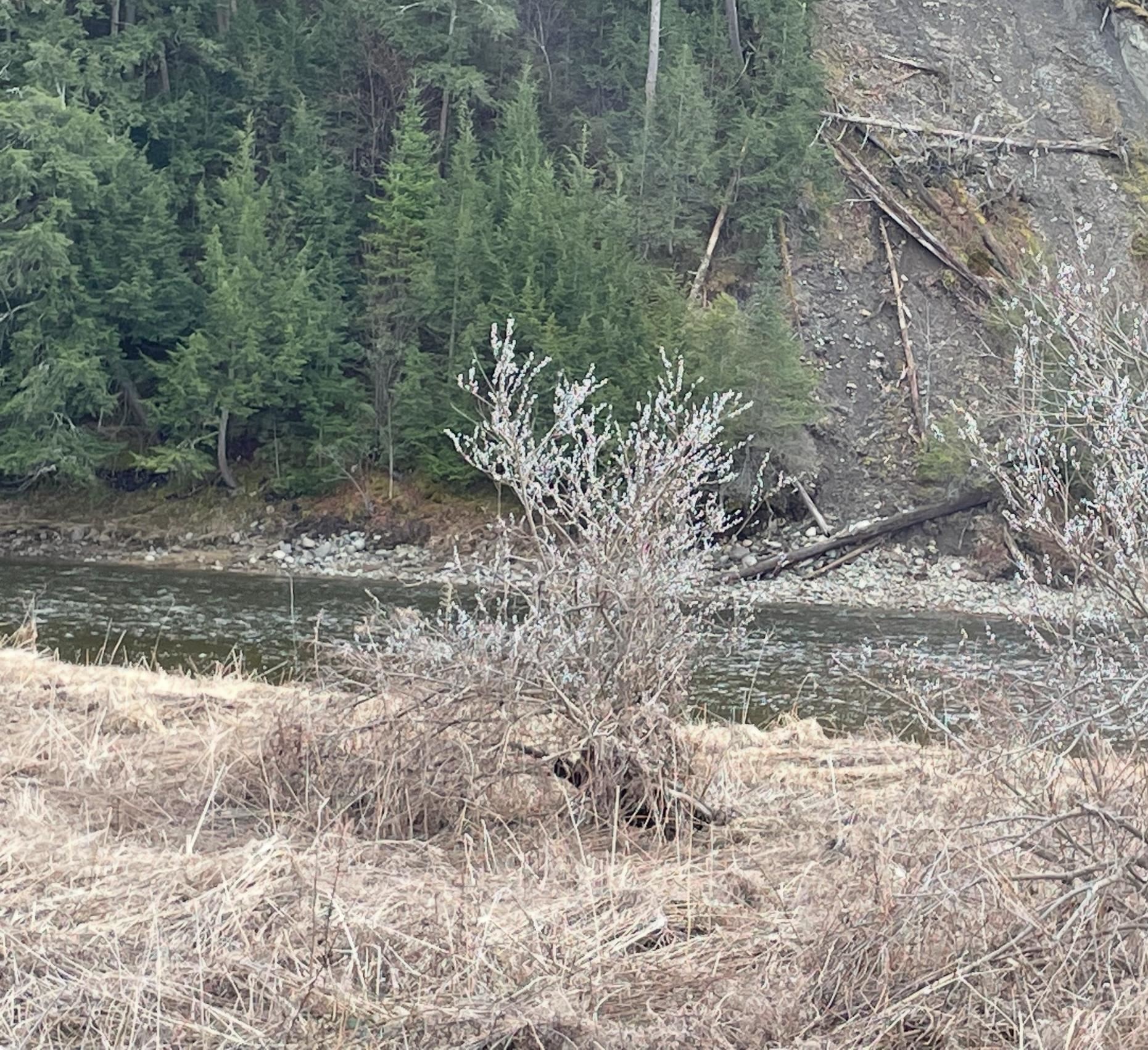 0 Lisbon Rd, Bath, NH 03740