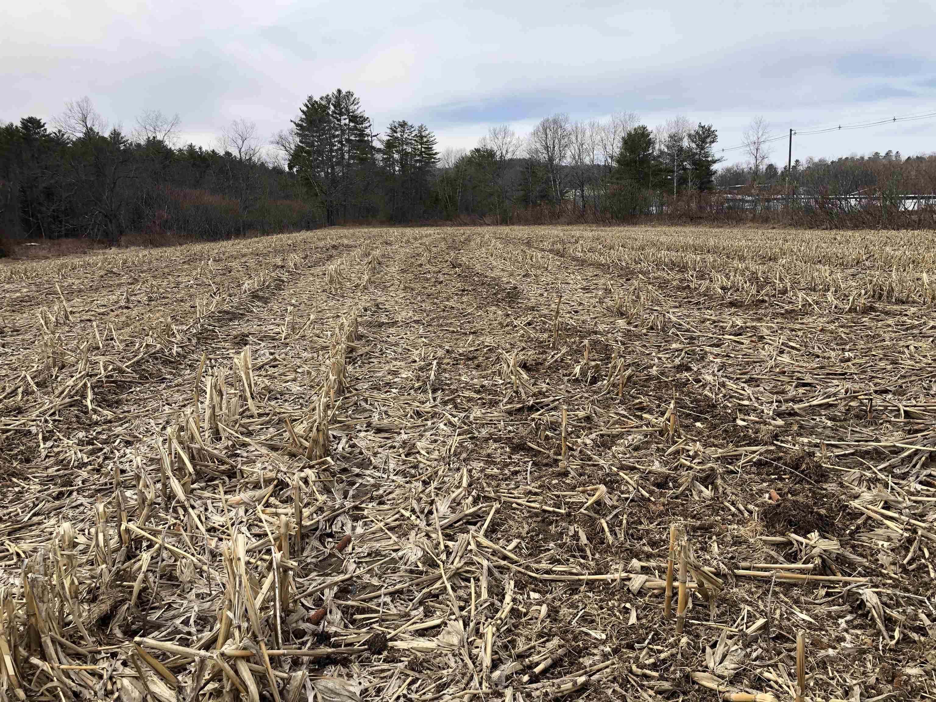 0 Lisbon Rd, Bath, NH 03740