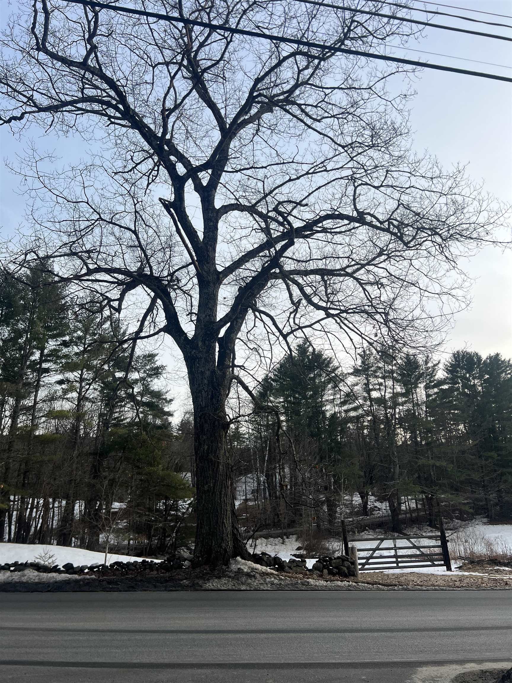 CHARLESTOWN NH&nbsp;Land / Acres for sale