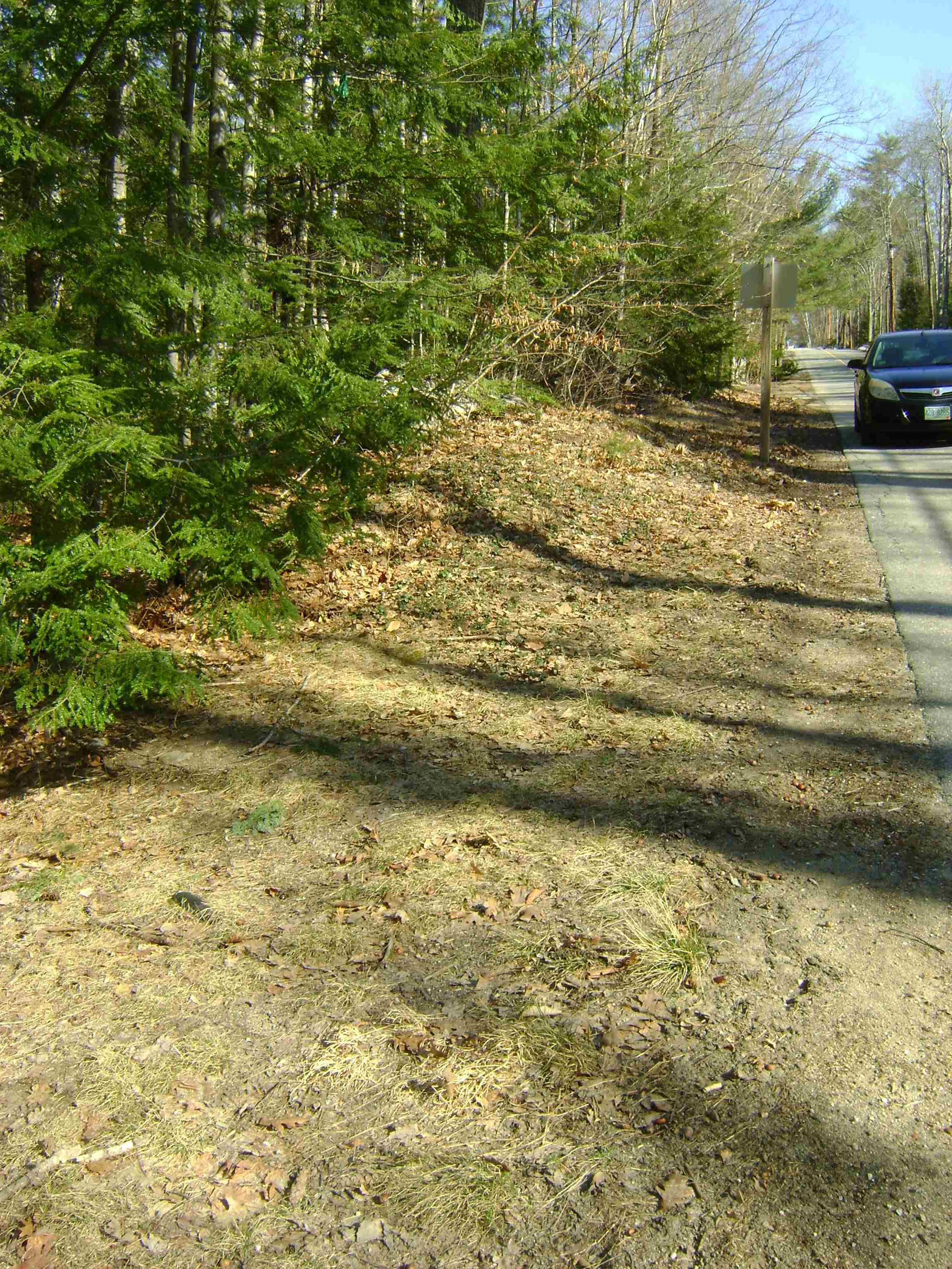 MLS #5035044 image #12