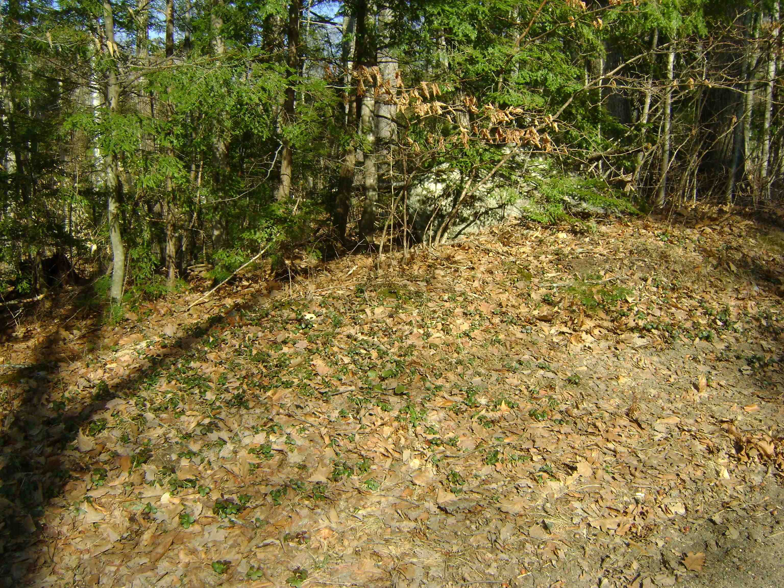 MLS #5035044 image #13