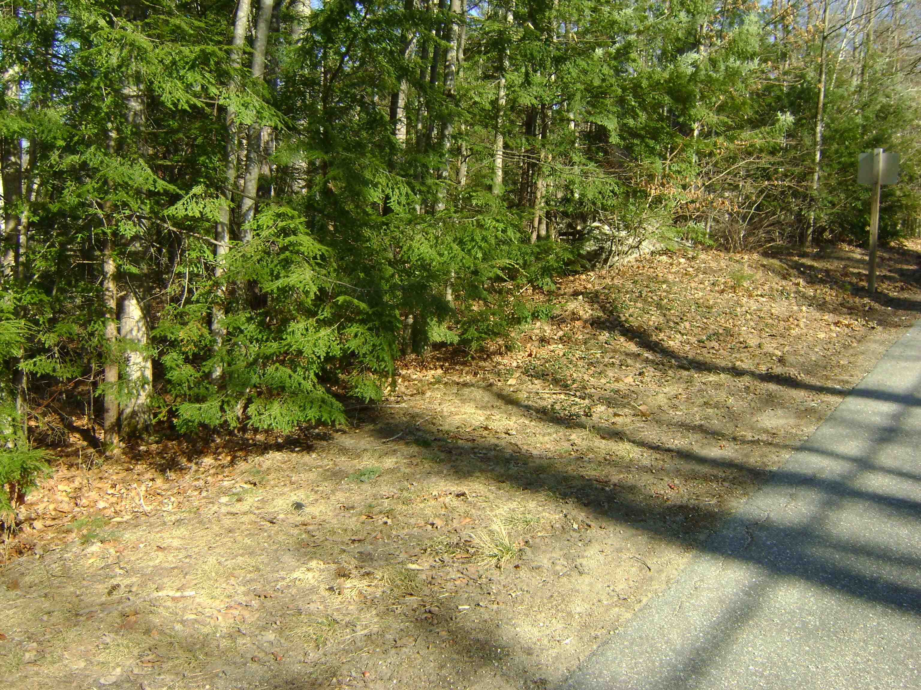 MLS #5035044 image #14