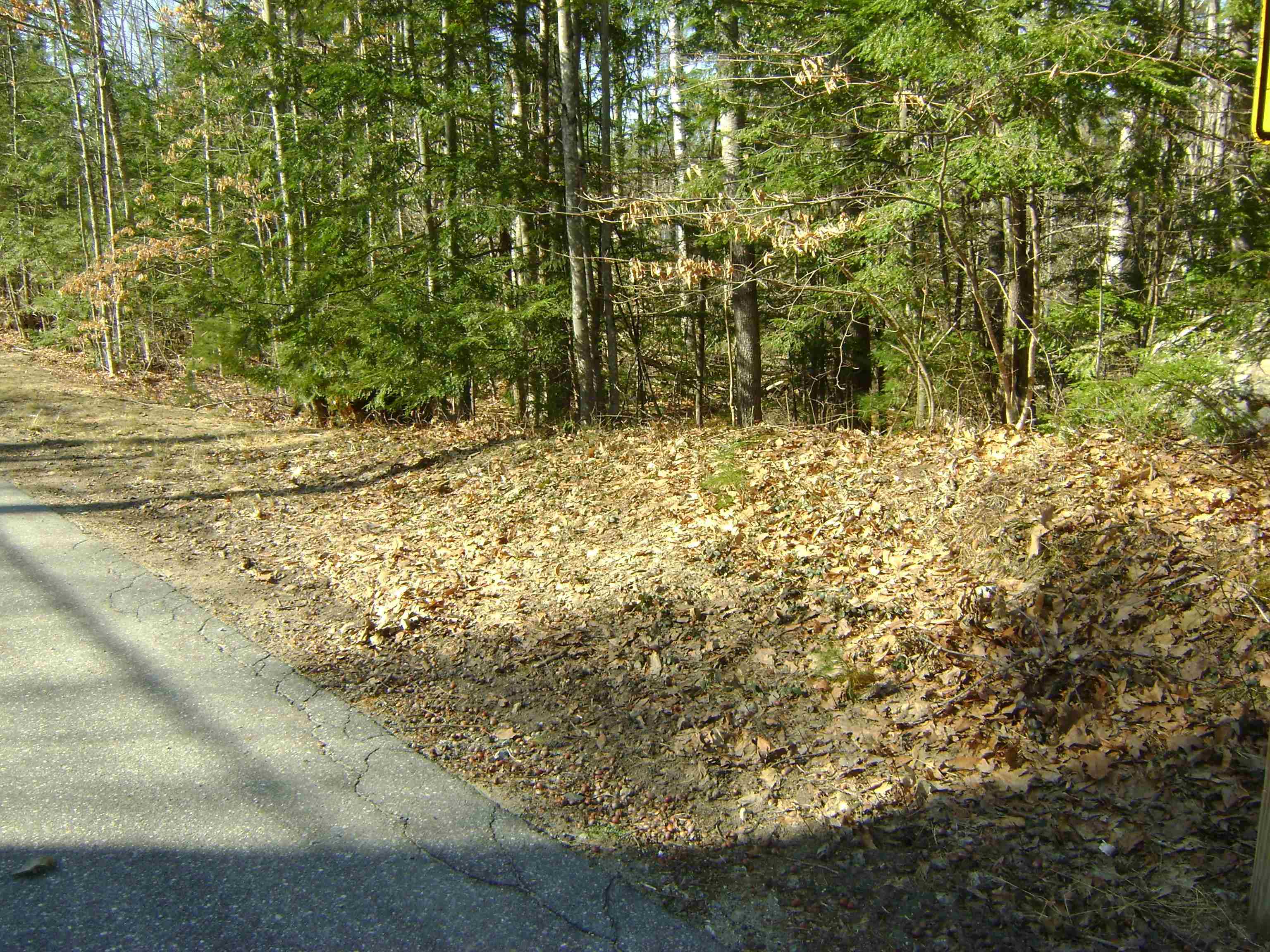 MLS #5035044 image #15