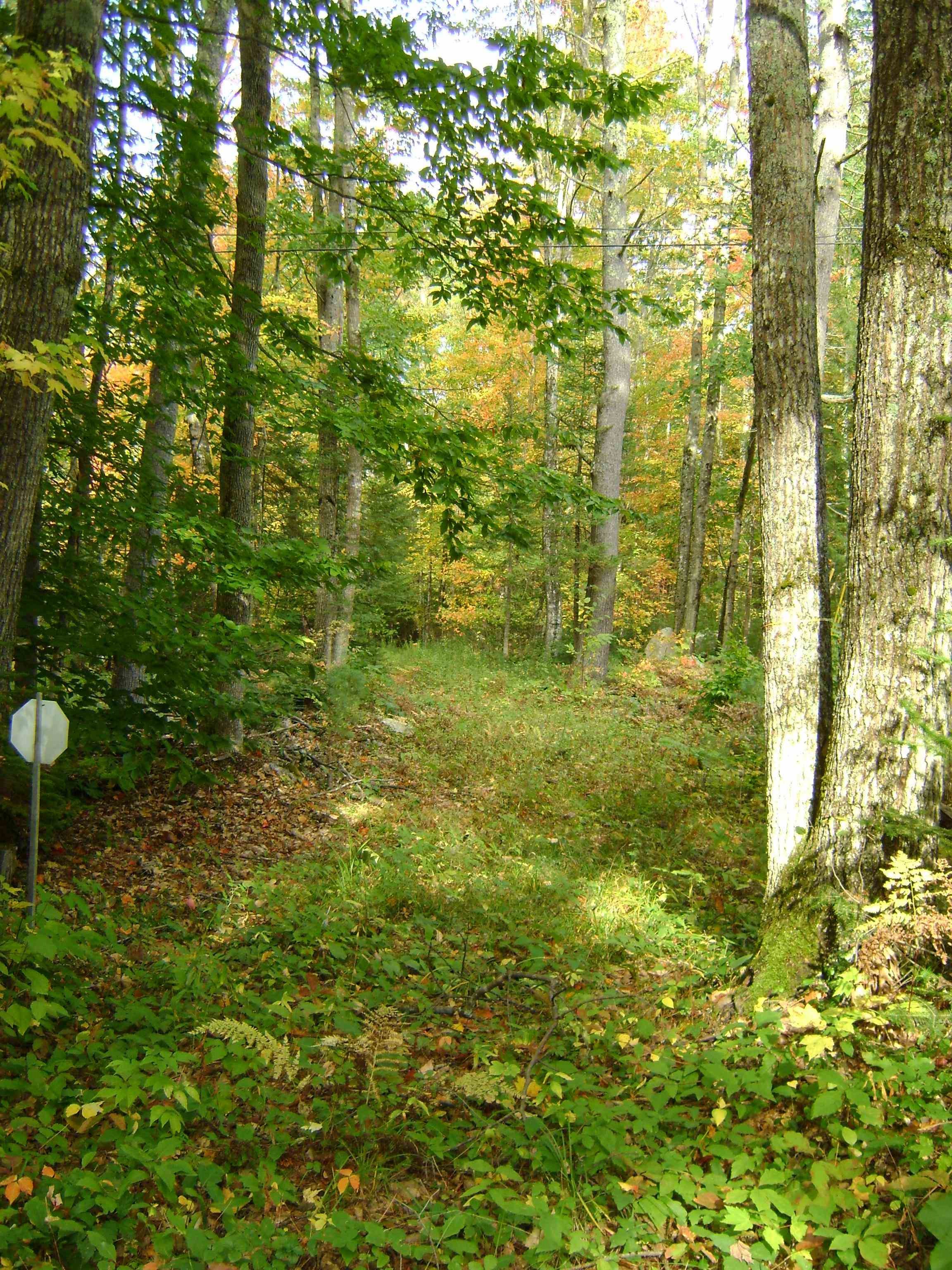 MLS #5035044 image #23