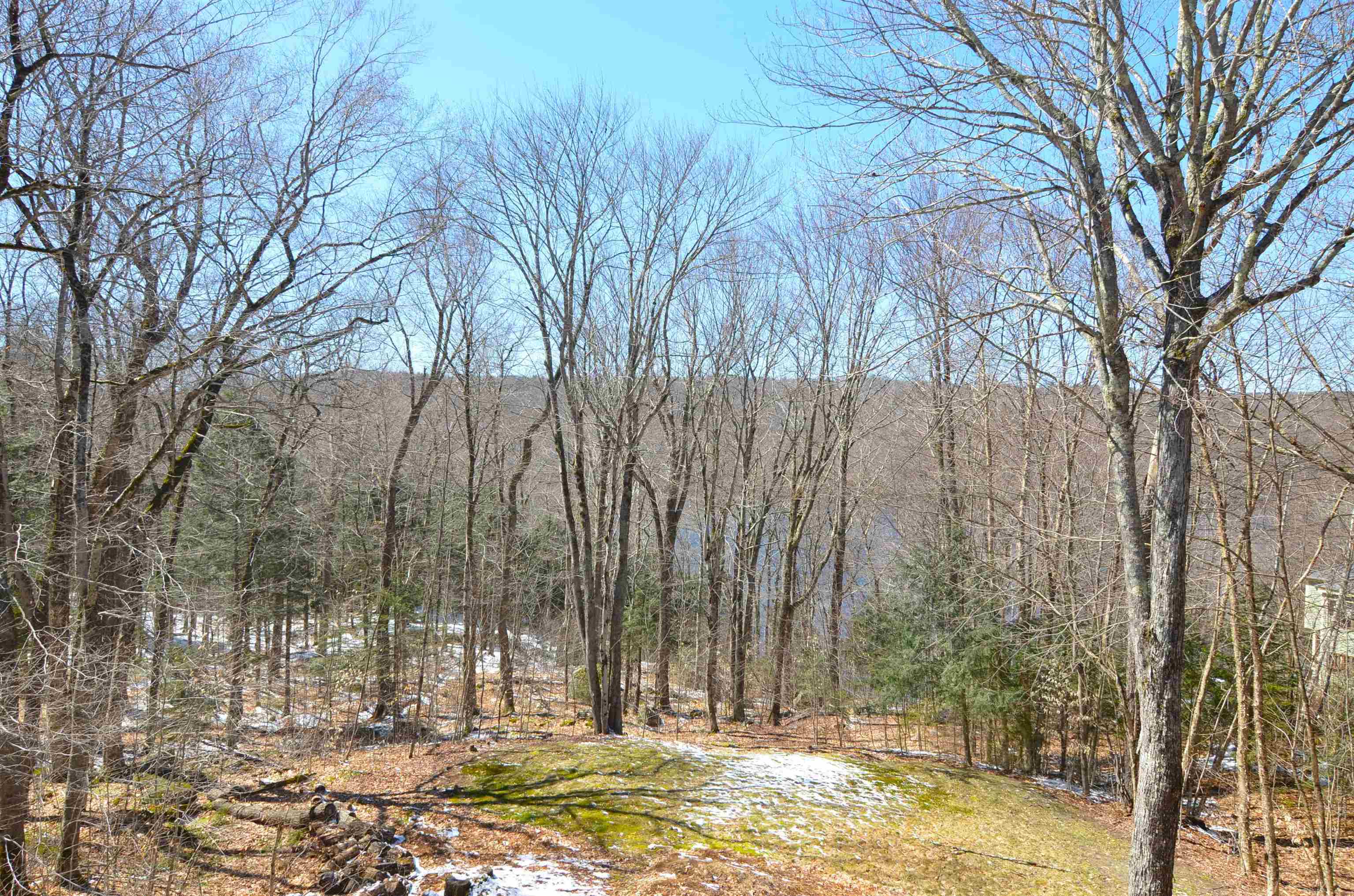 3 Trillium Ln, Grantham, NH 03753